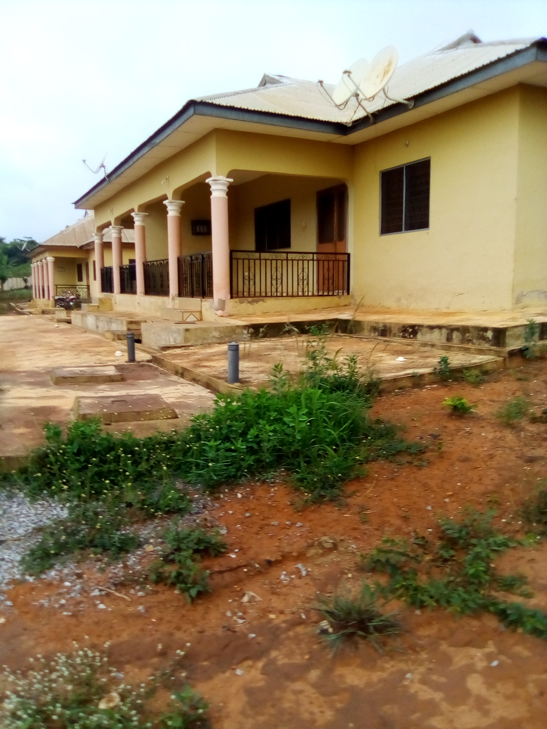 IMG_20210528_065057_3.jpg