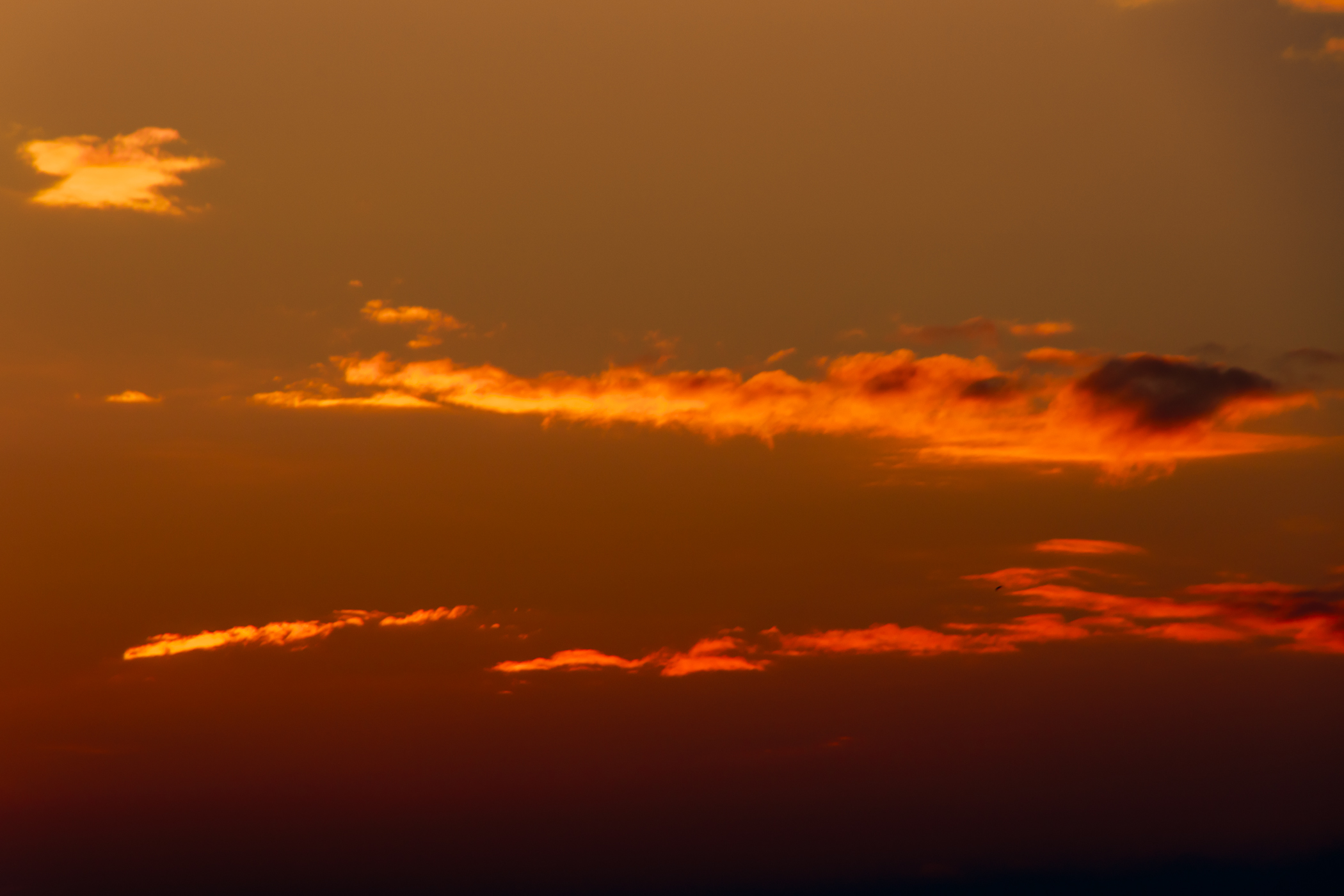 2020_12_31_420889.jpg