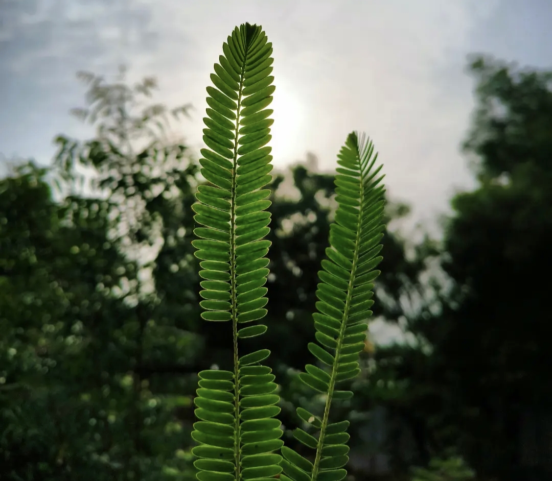 1000051926.jpg