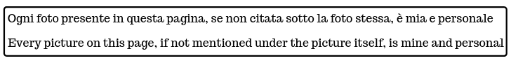 diritti%20steemit%20senza%20immagine.png
