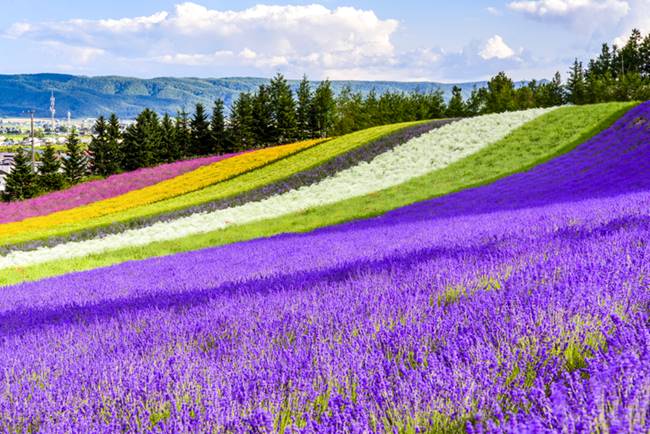 vibrant-location-1.jpg