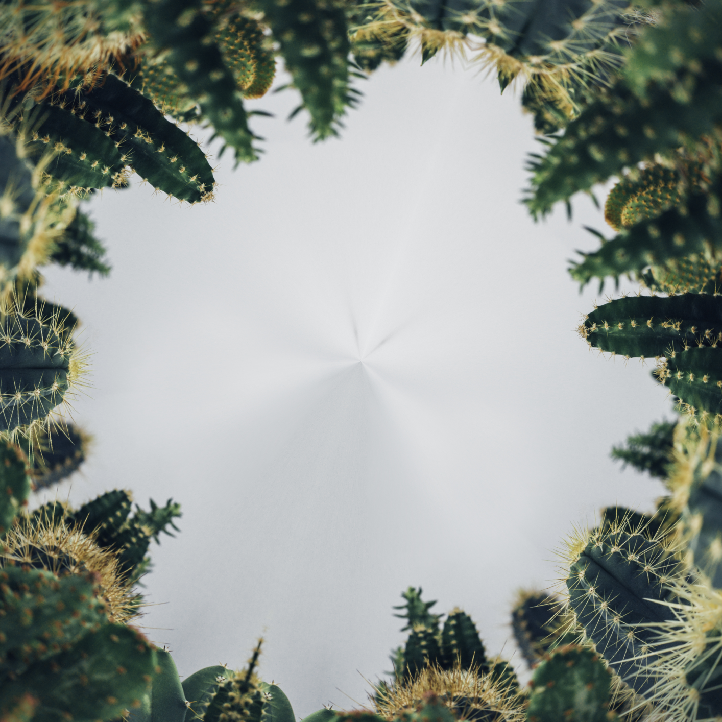 image3A16957_mirror4.png