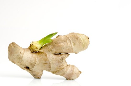 Cómo-plantar-jengibre-500x331.jpg