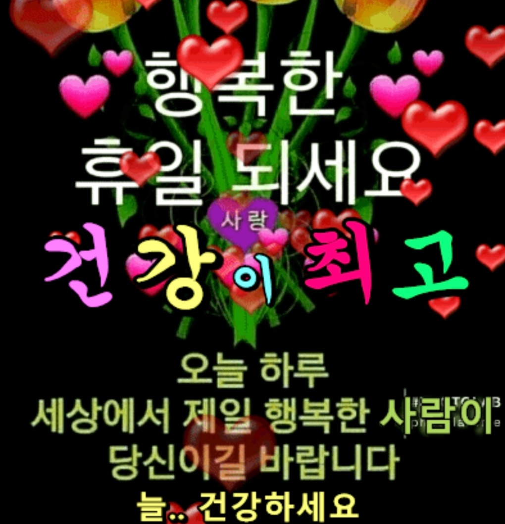 일요일 시작 무료 이미지・디자인・샘플・템플릿 - Canva(캔바), image size:1020x1059