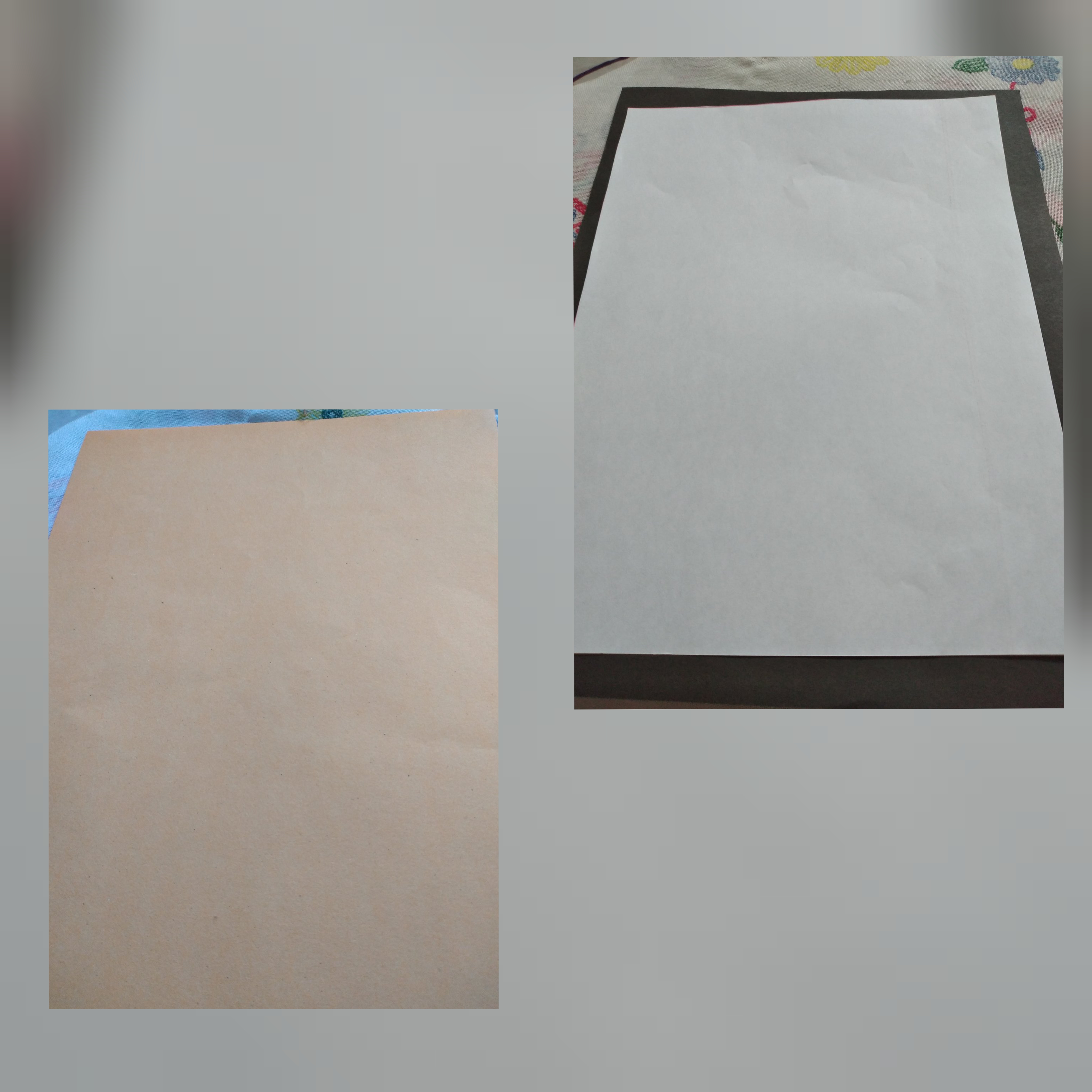 47183.jpg