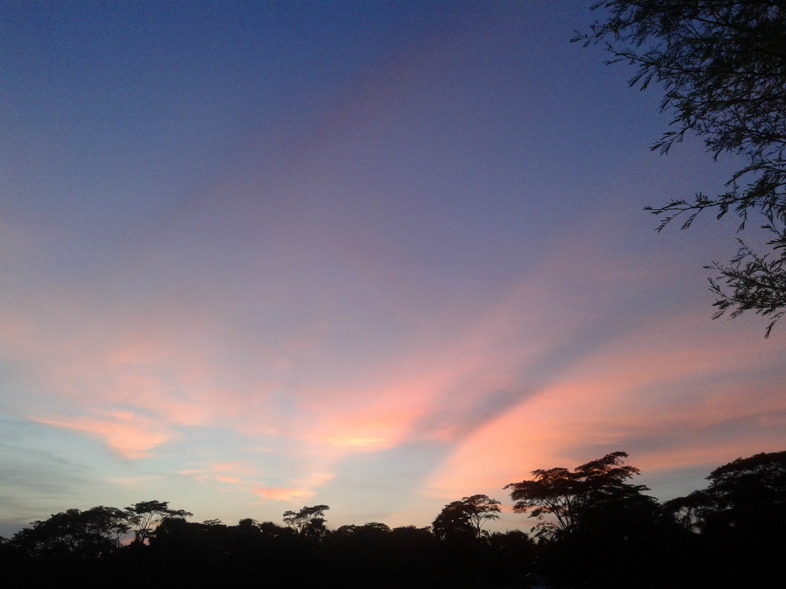20180818_184118.jpg