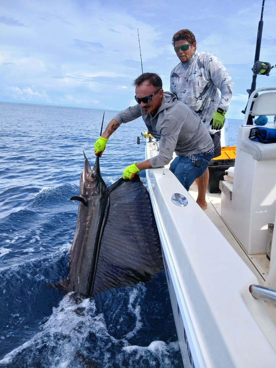 fish3.jpg