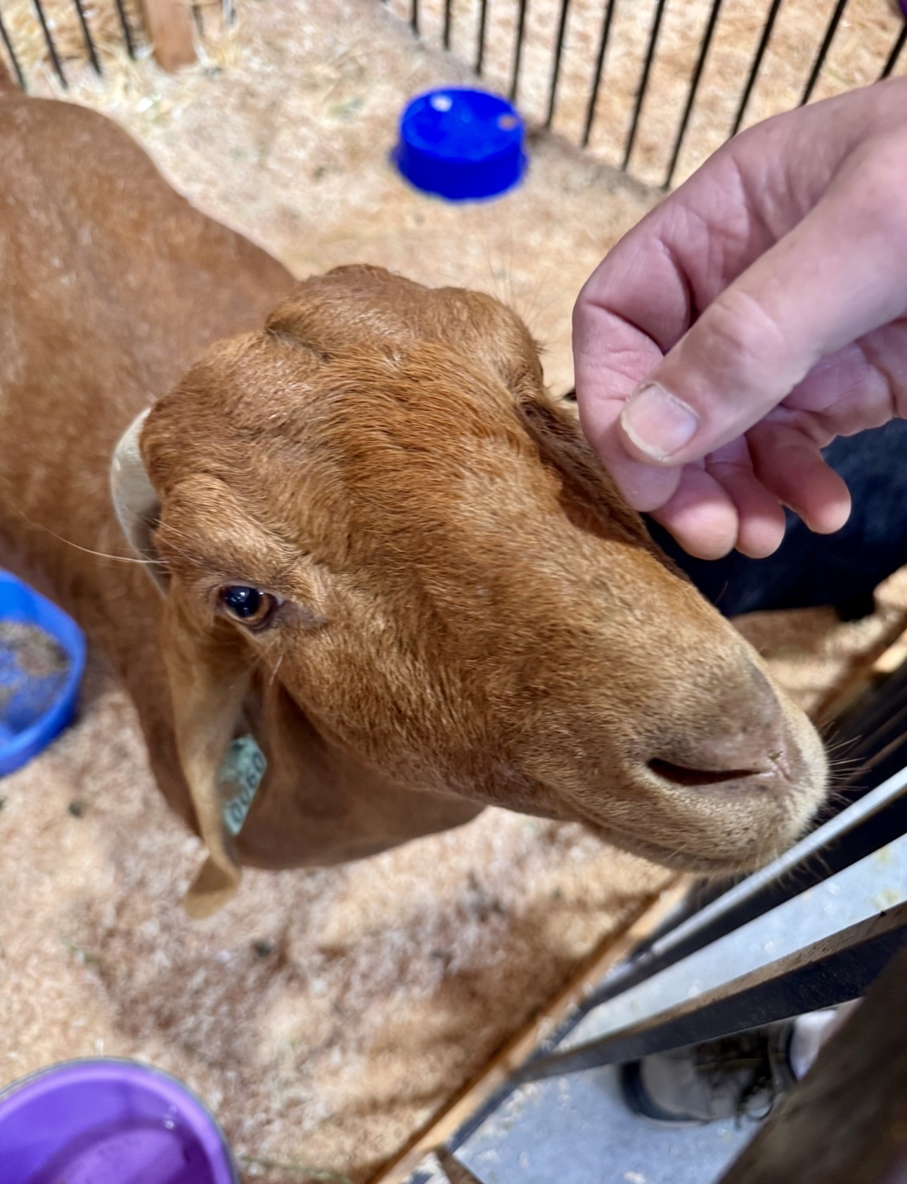 IMG_9412.jpg