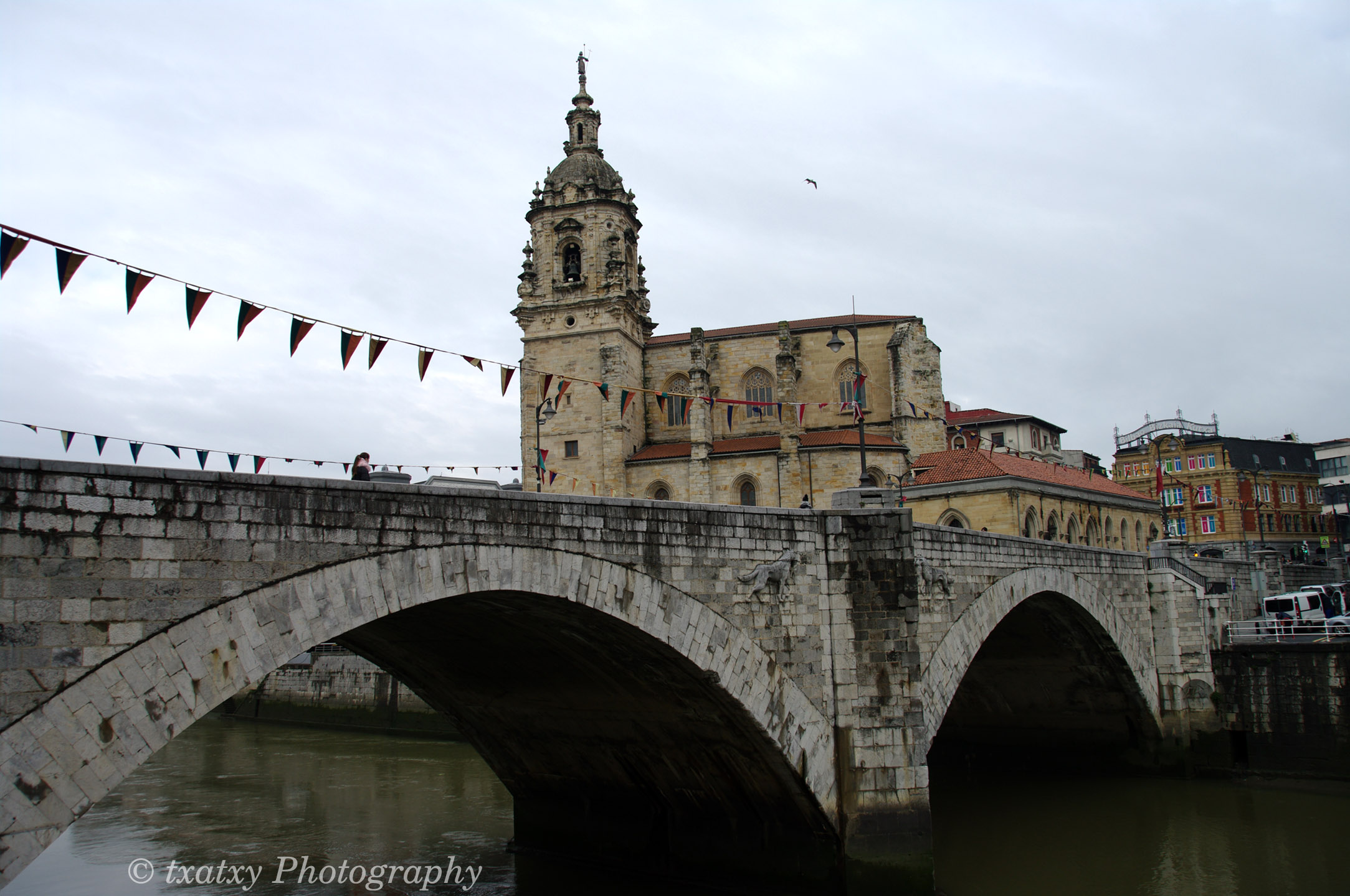 IMGP8178.jpg