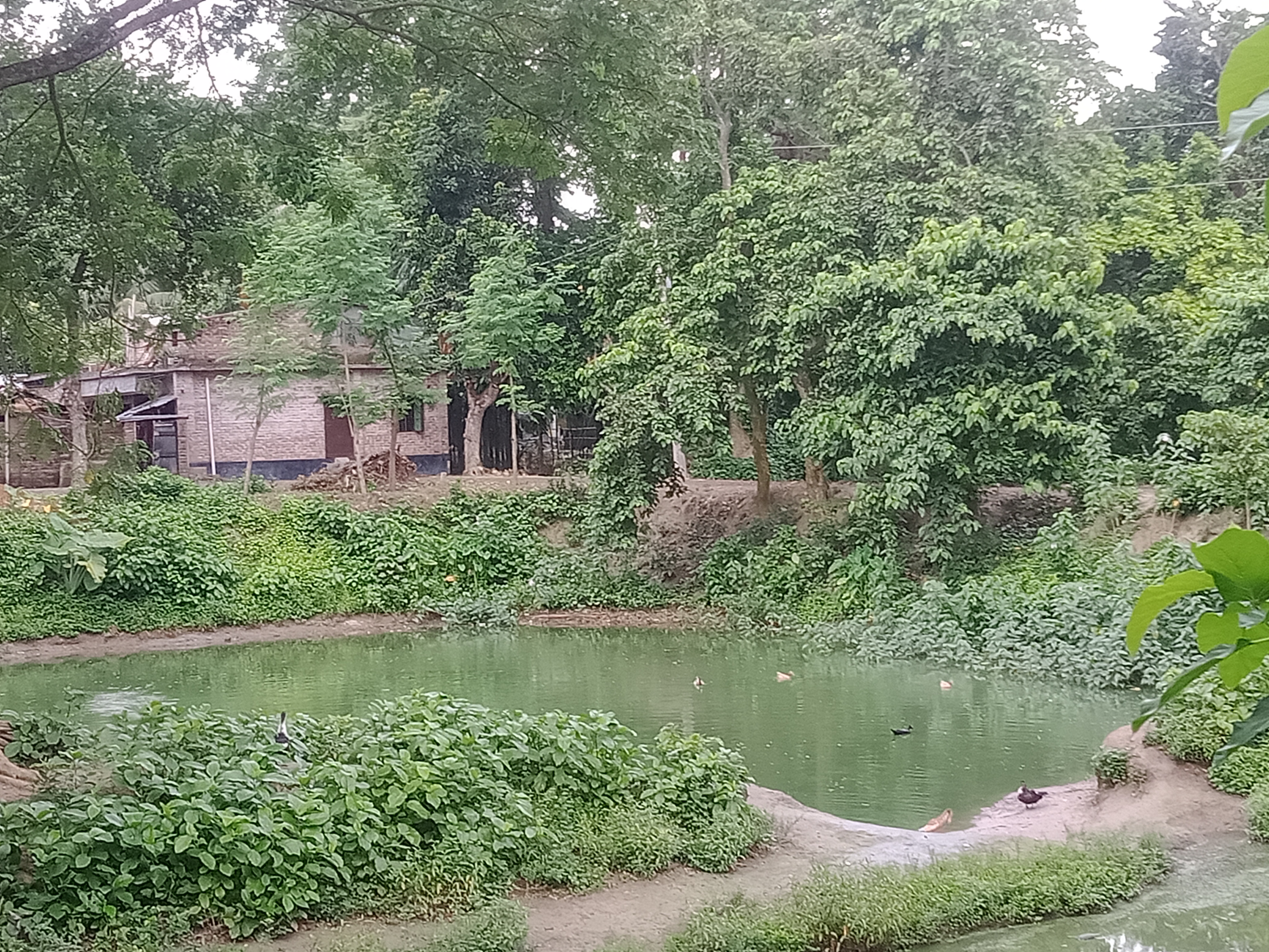 IMG20240628063130.jpg