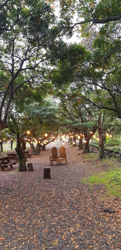 KakaoTalk_Photo_2019-04-24-10-00-12.jpeg