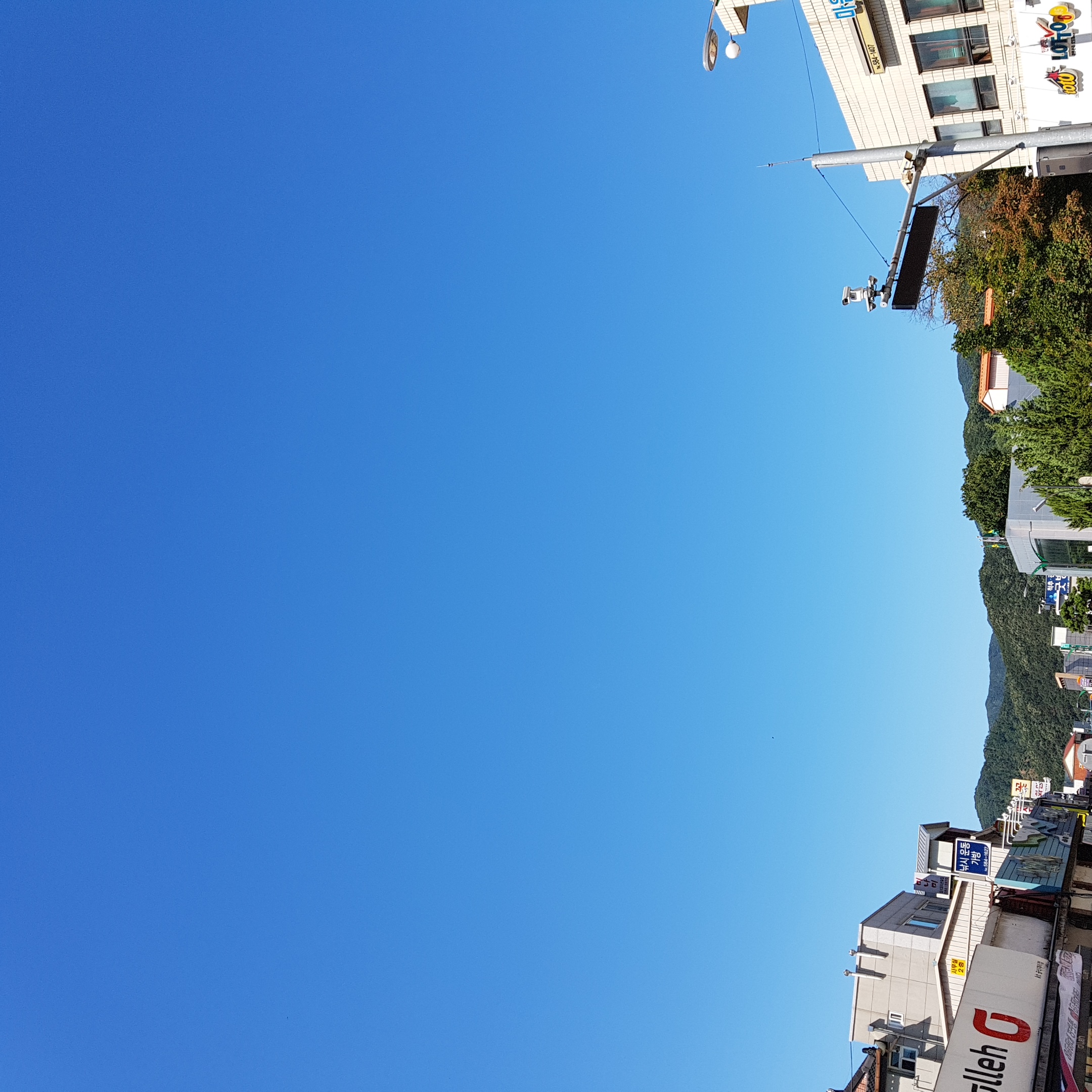 20180817_094226.jpg