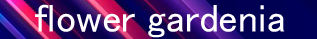 55.png