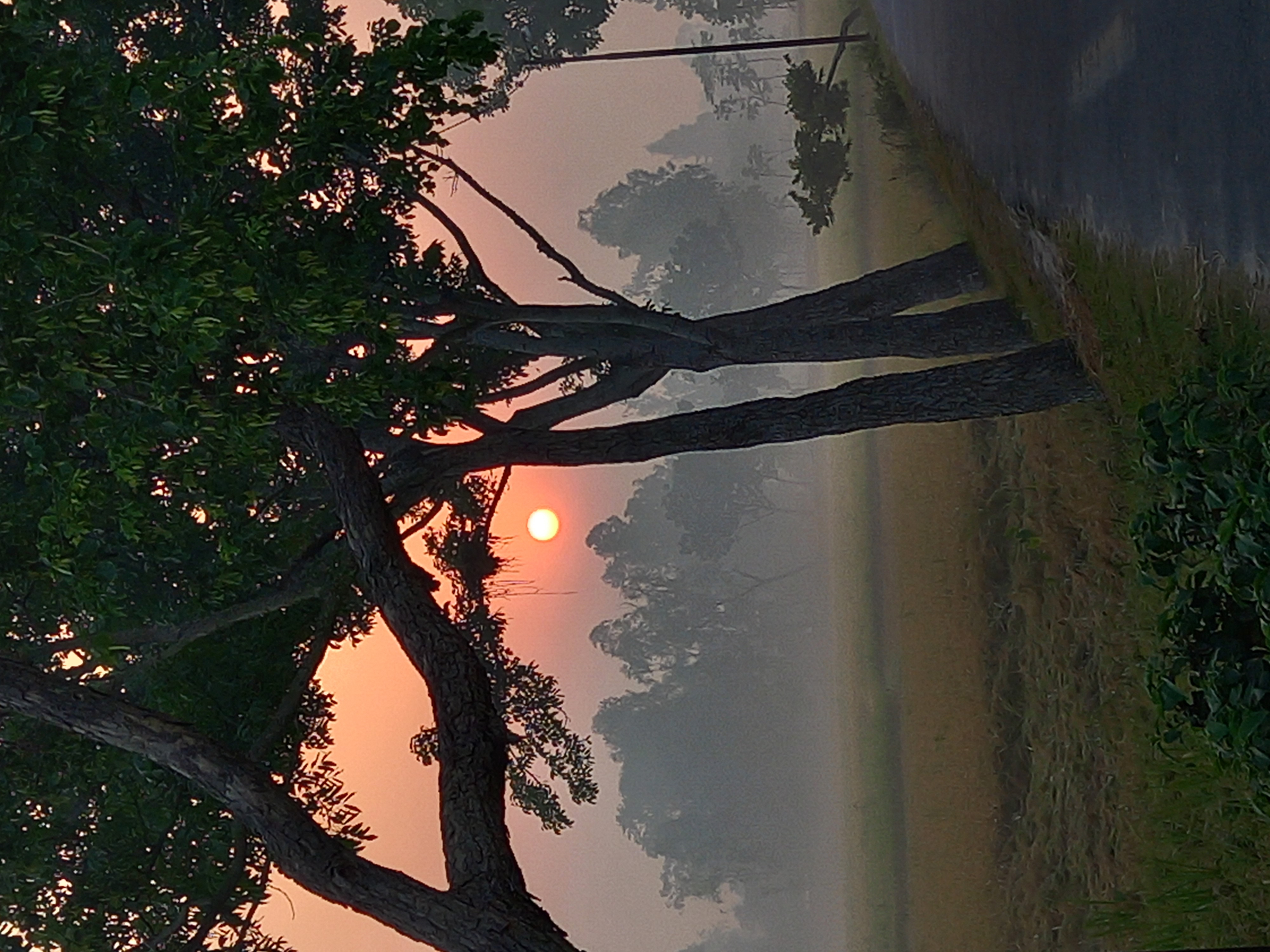 20230508_054653.jpg