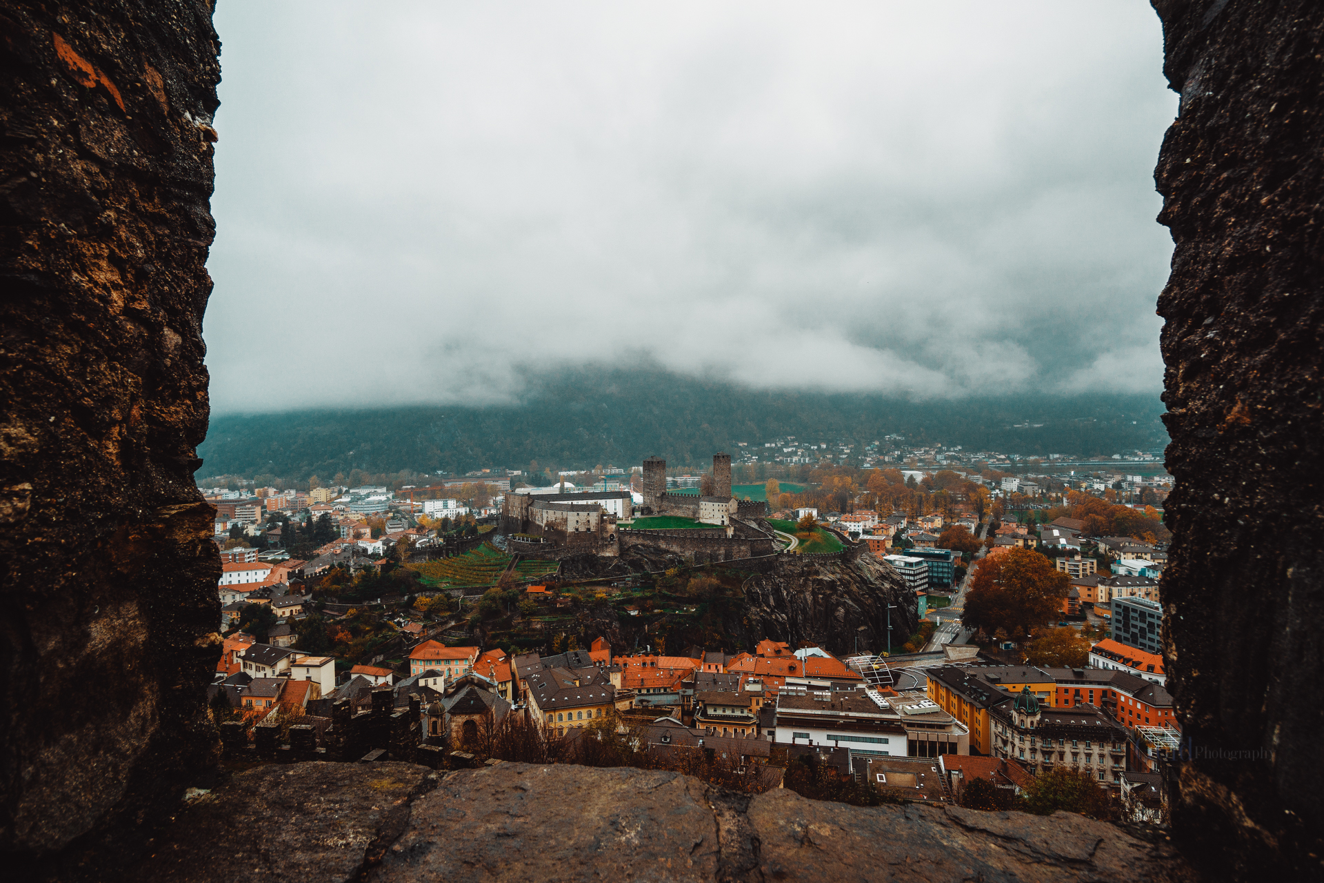 Sean_Gold_November 11, 2018_54865-Edit-WebExport.jpg