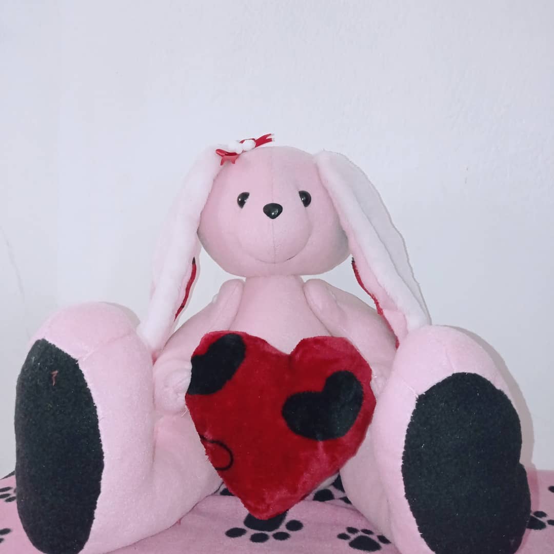 ------------------.----✨ (_teddyshop.ac) posted on Instagram_CLSGpvTgmcn_1(JPG).jpg