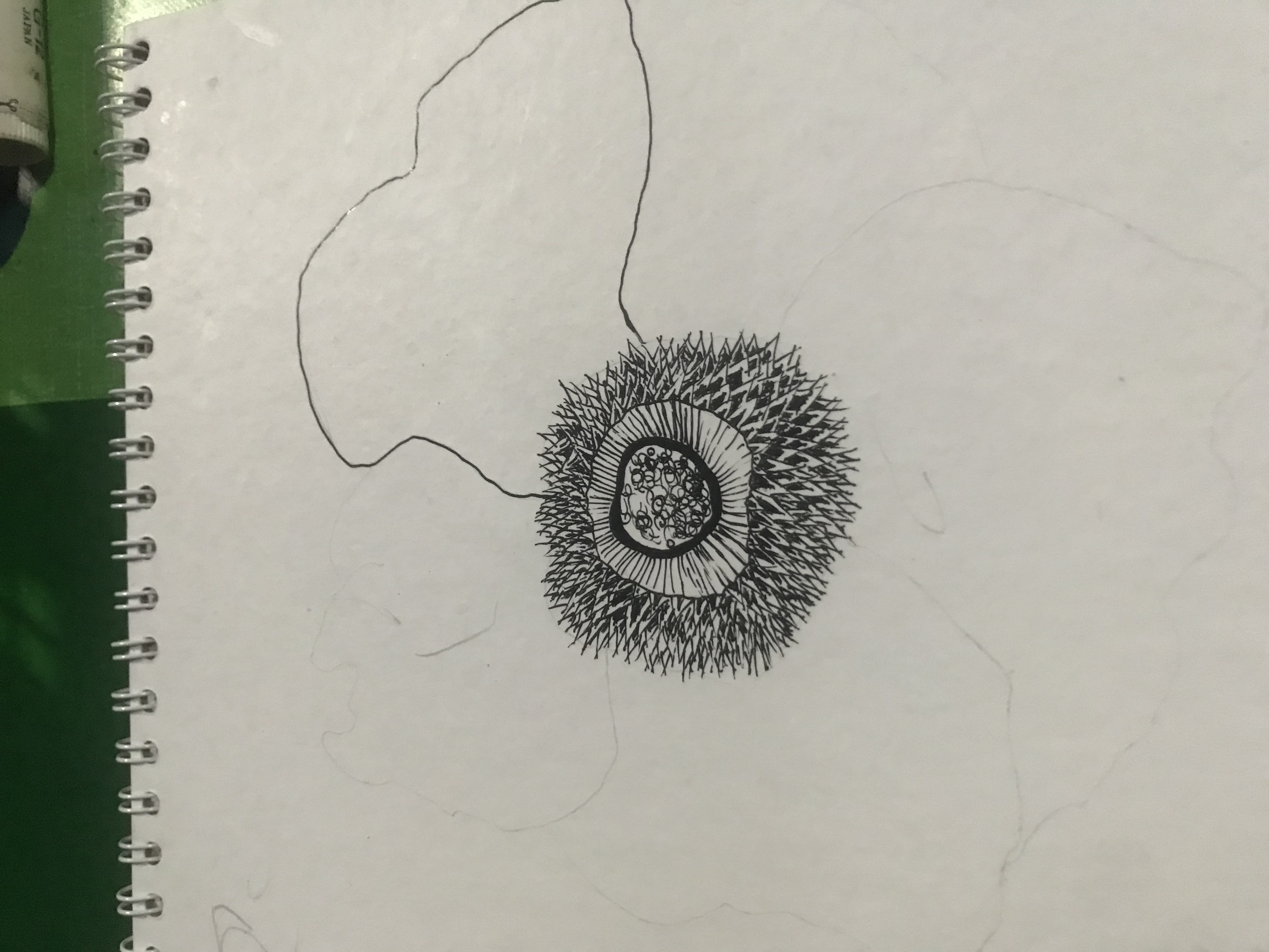 09055A2C-F7B3-4DA7-B208-267926E73A48.jpeg