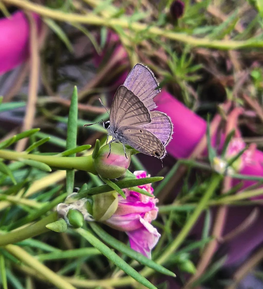 305060987_655472468920621_4261806802509925951_n.webp (1).jpg