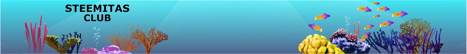 banner-steemitas-claro-1597.png