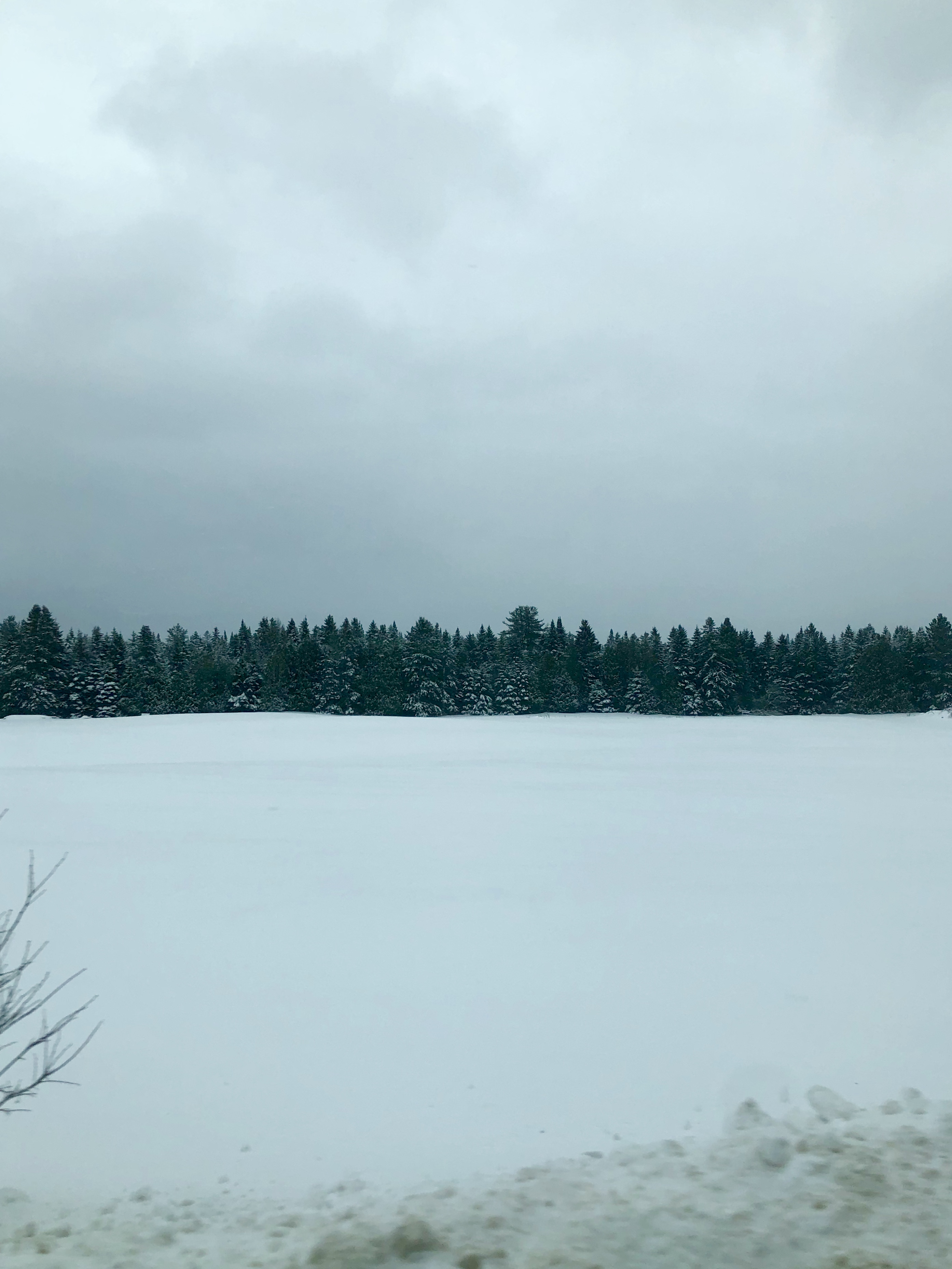 C0C47178-4782-49E7-91E7-C5BEFAA67213.jpeg