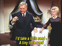 giphy (14).gif