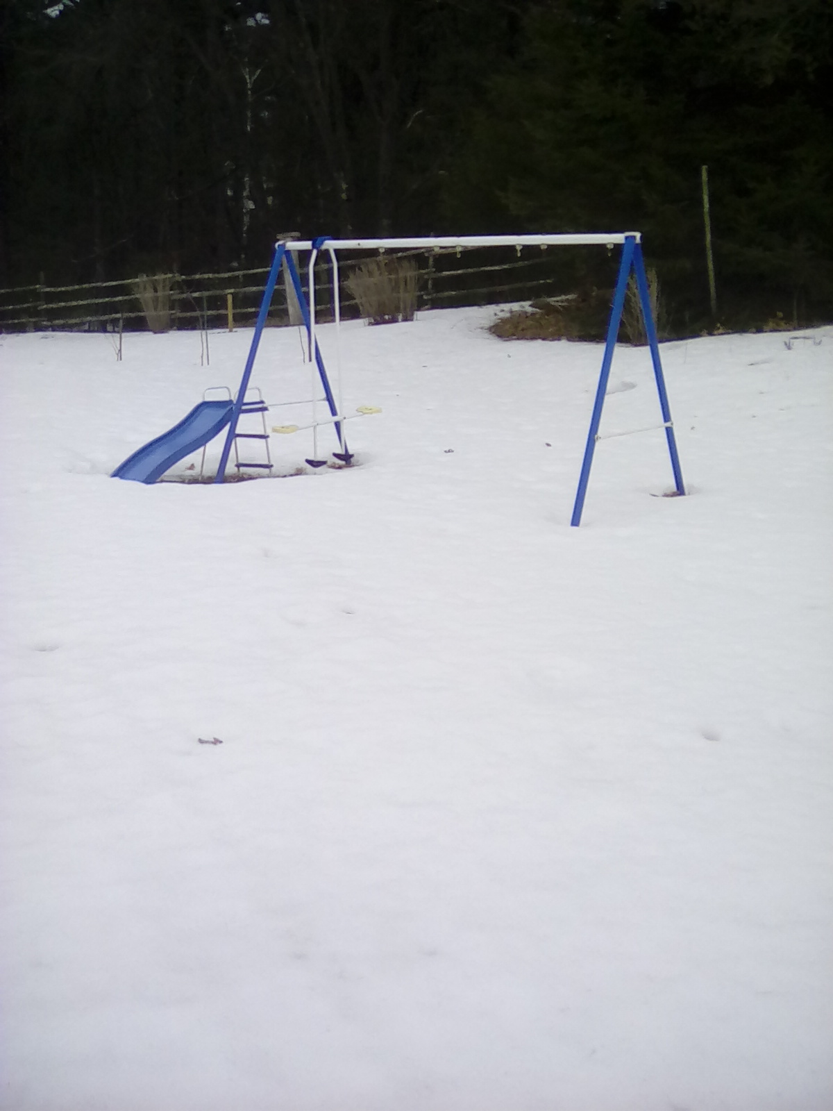 IMG_20200324_143811.jpg