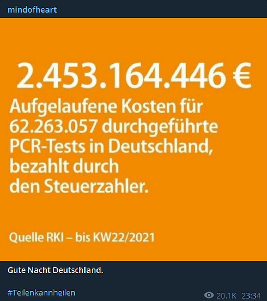 Aufgelaufene Kosten für PCR-Tests.jpg