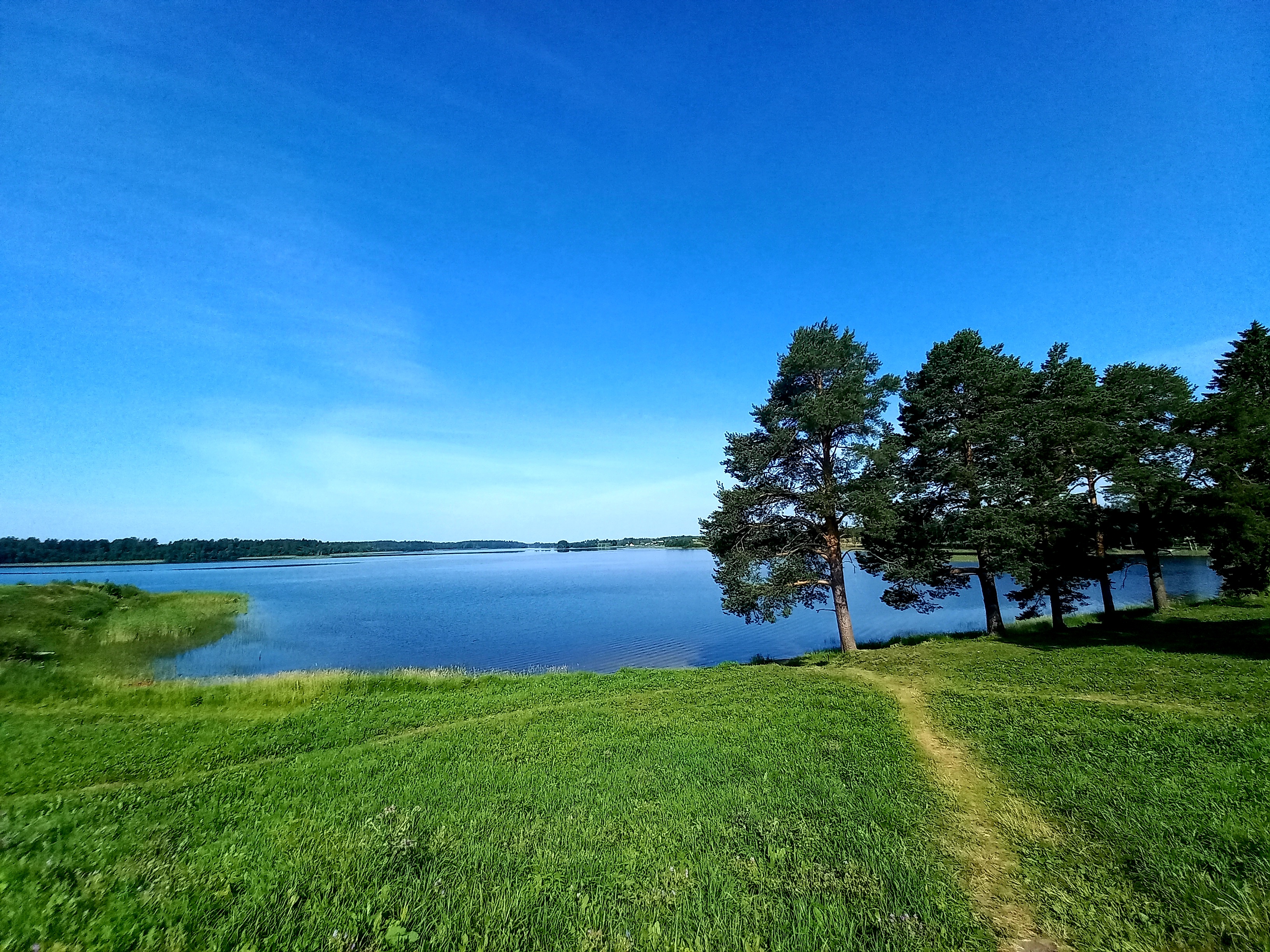 20210708_090620.jpg