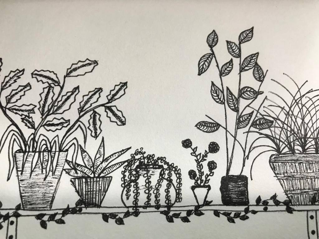 WhatsApp Image 2019-10-19 at 12.22.31 AM.jpeg