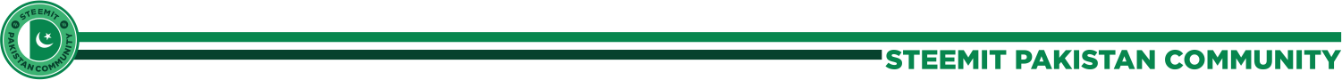 Steem Pakistan Divider 3 (2).png