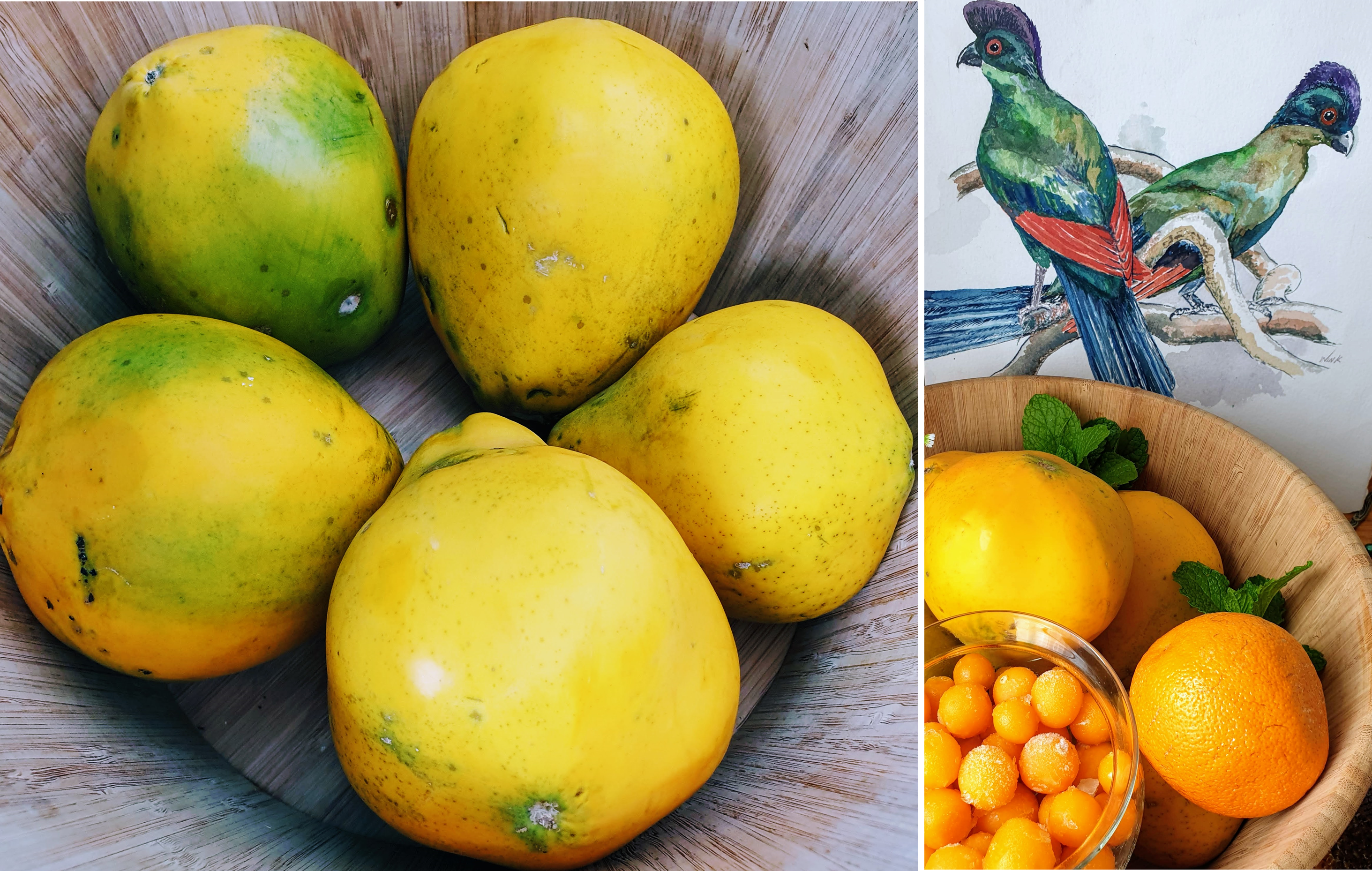 Papaya crop.png