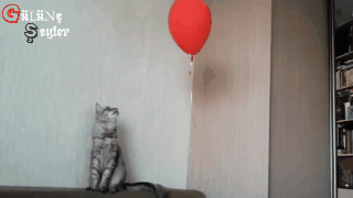 animation (77).gif