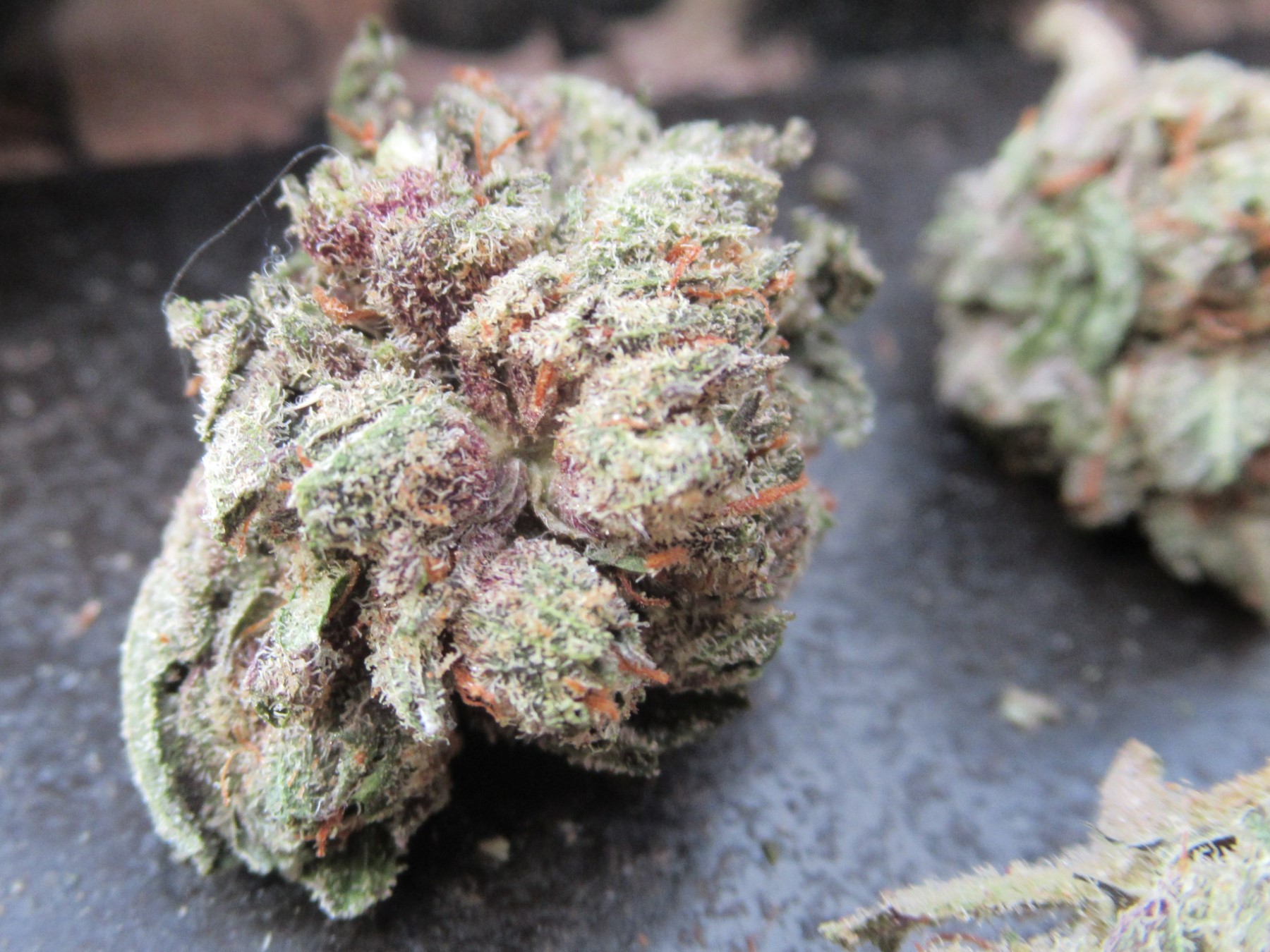 microsidepistilleaf.jpg