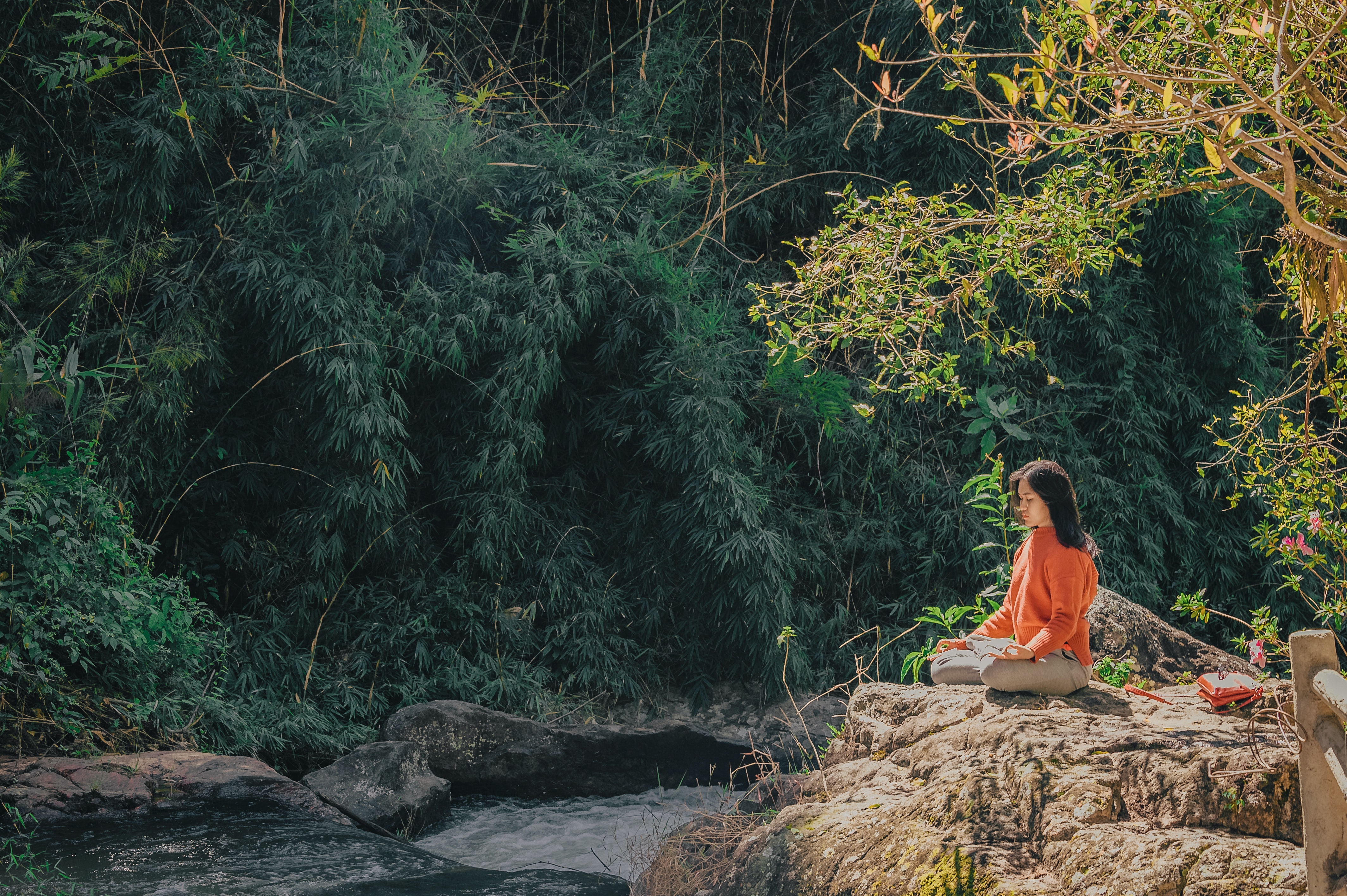 woman-sitting-on-brown-stone-near-green-leaf-trees-at-1234035.jpg