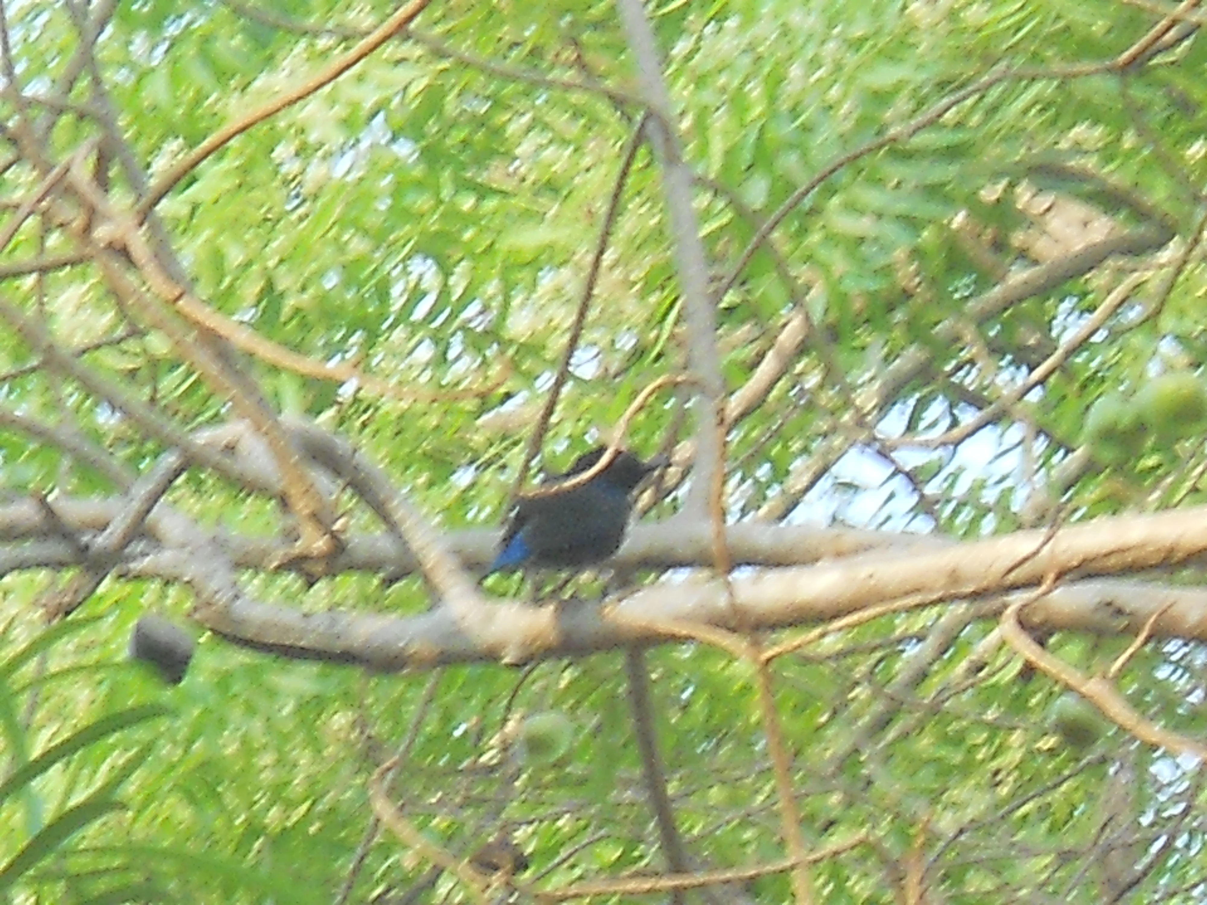 DSCN3697.JPG