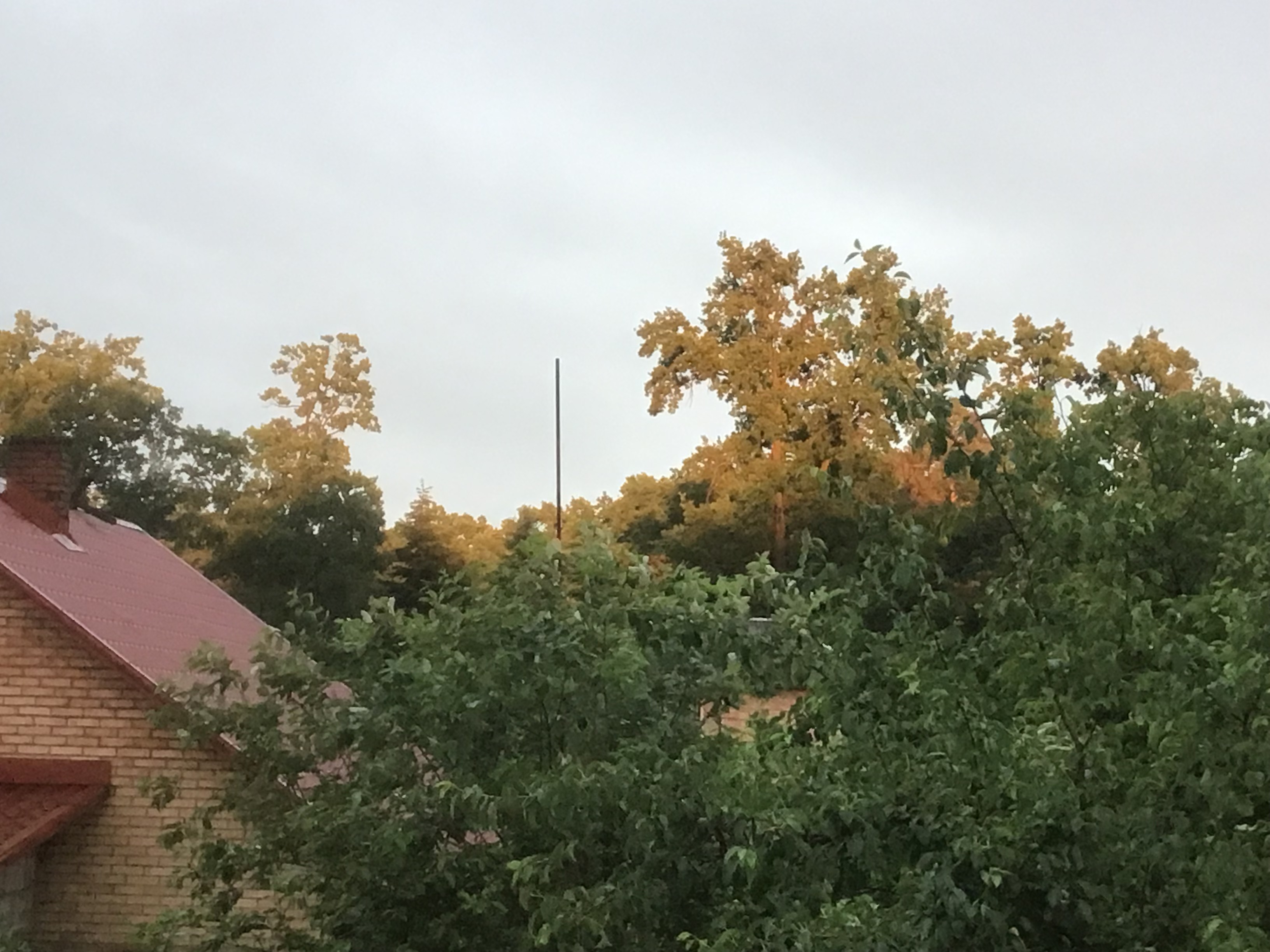 IMG_5705.jpeg