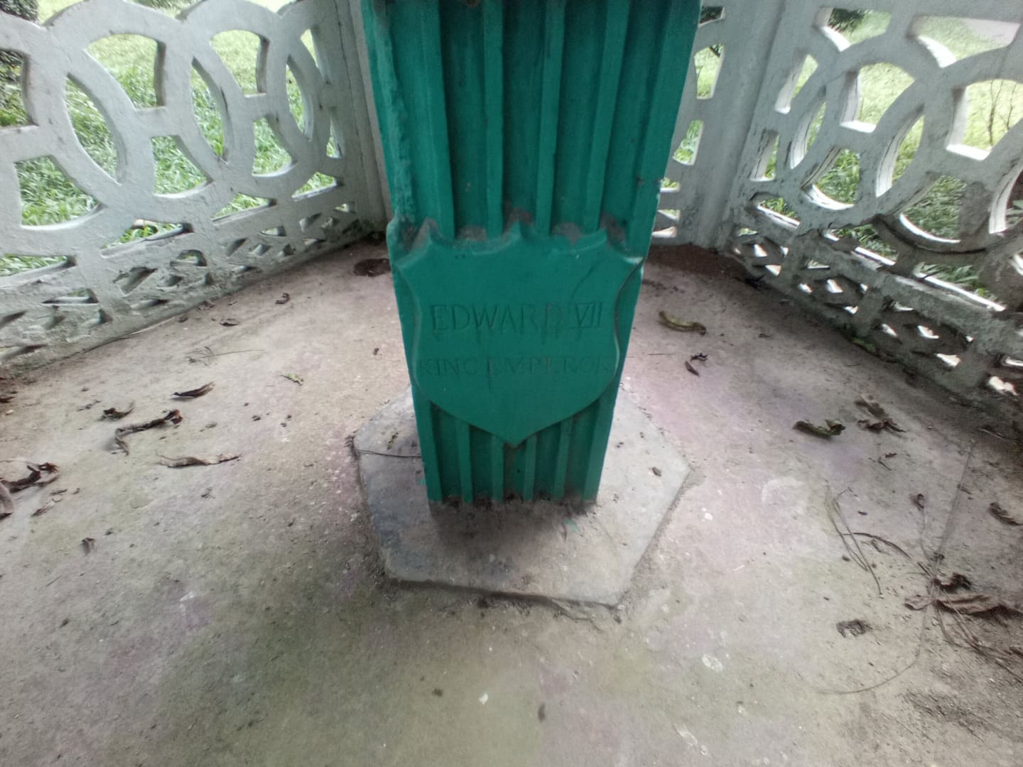 244706603_1045611579572371_5683442176681426136_n.jpg
