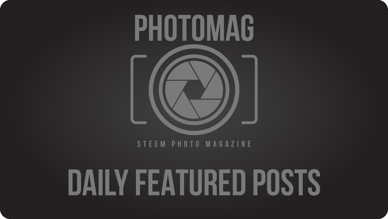 DailyPosts.png