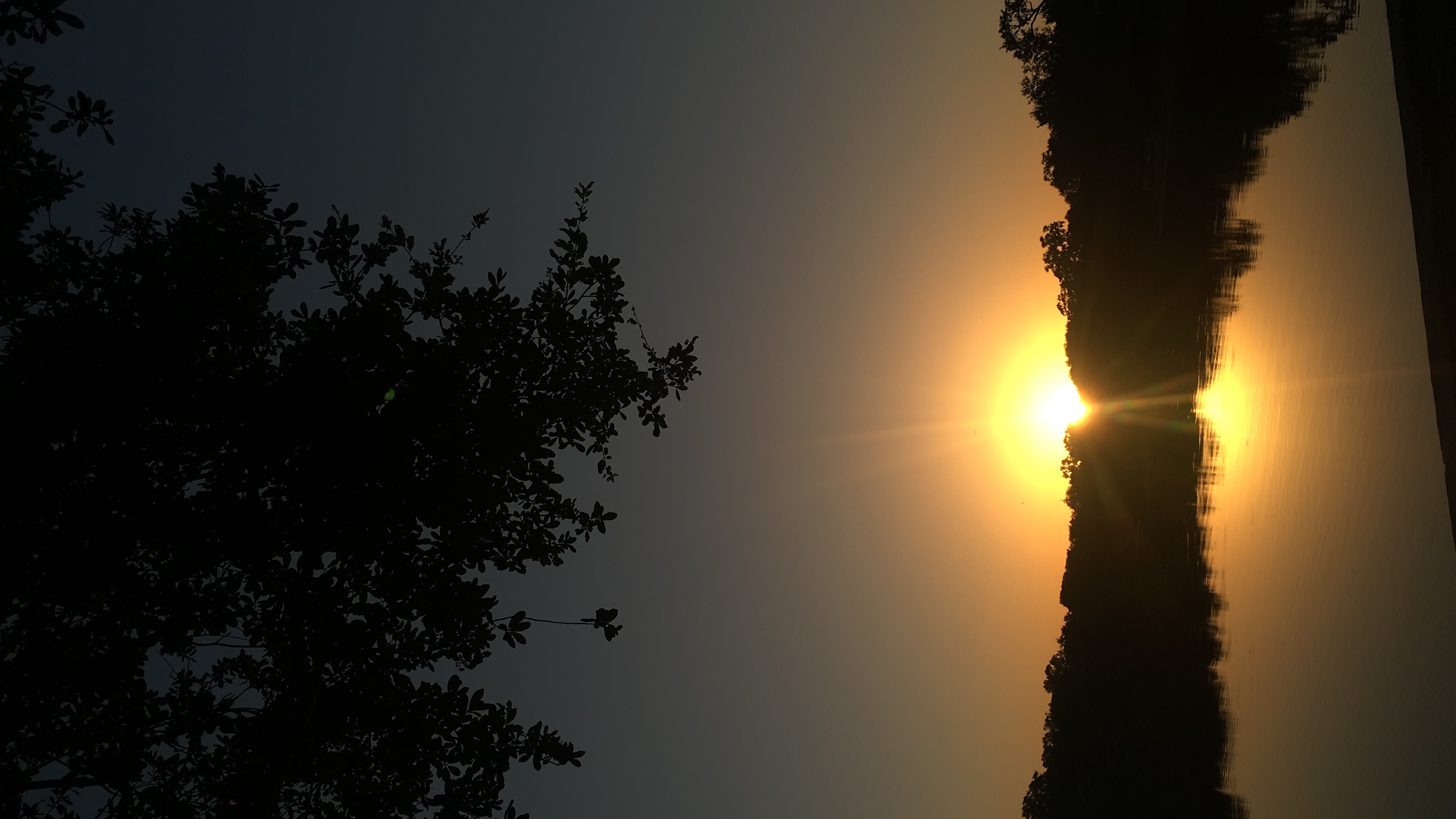 4C546D6E-07D8-4D19-AB73-B6FF9CA451A8.jpeg