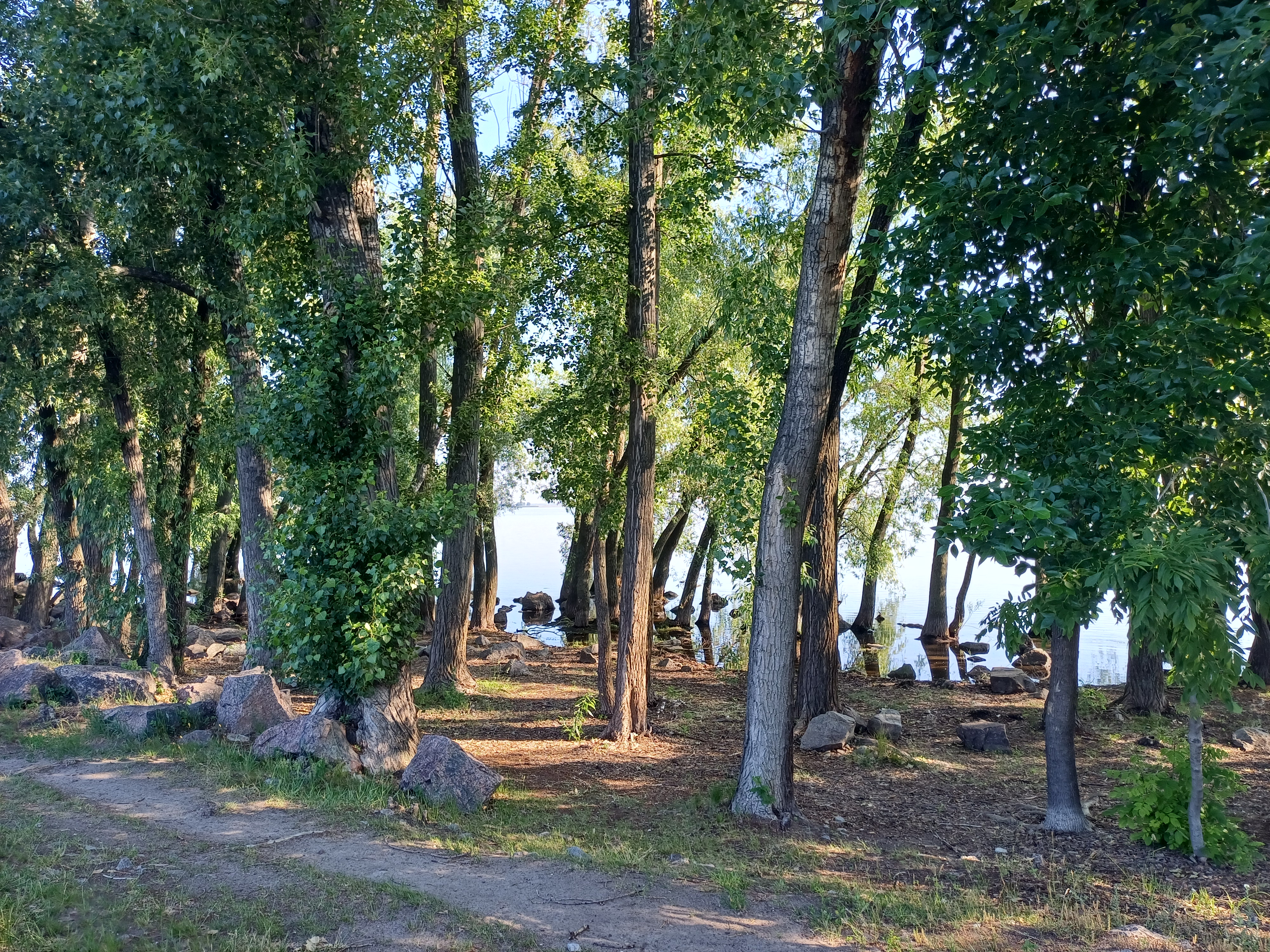 20260610_081019 (1).jpg