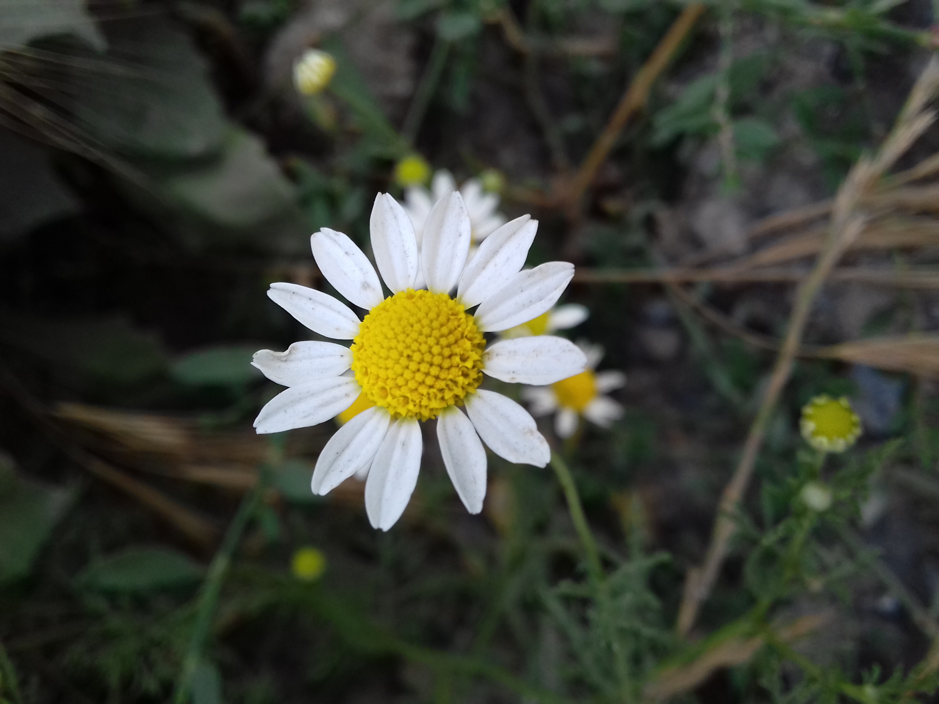 20180610_173610.jpg