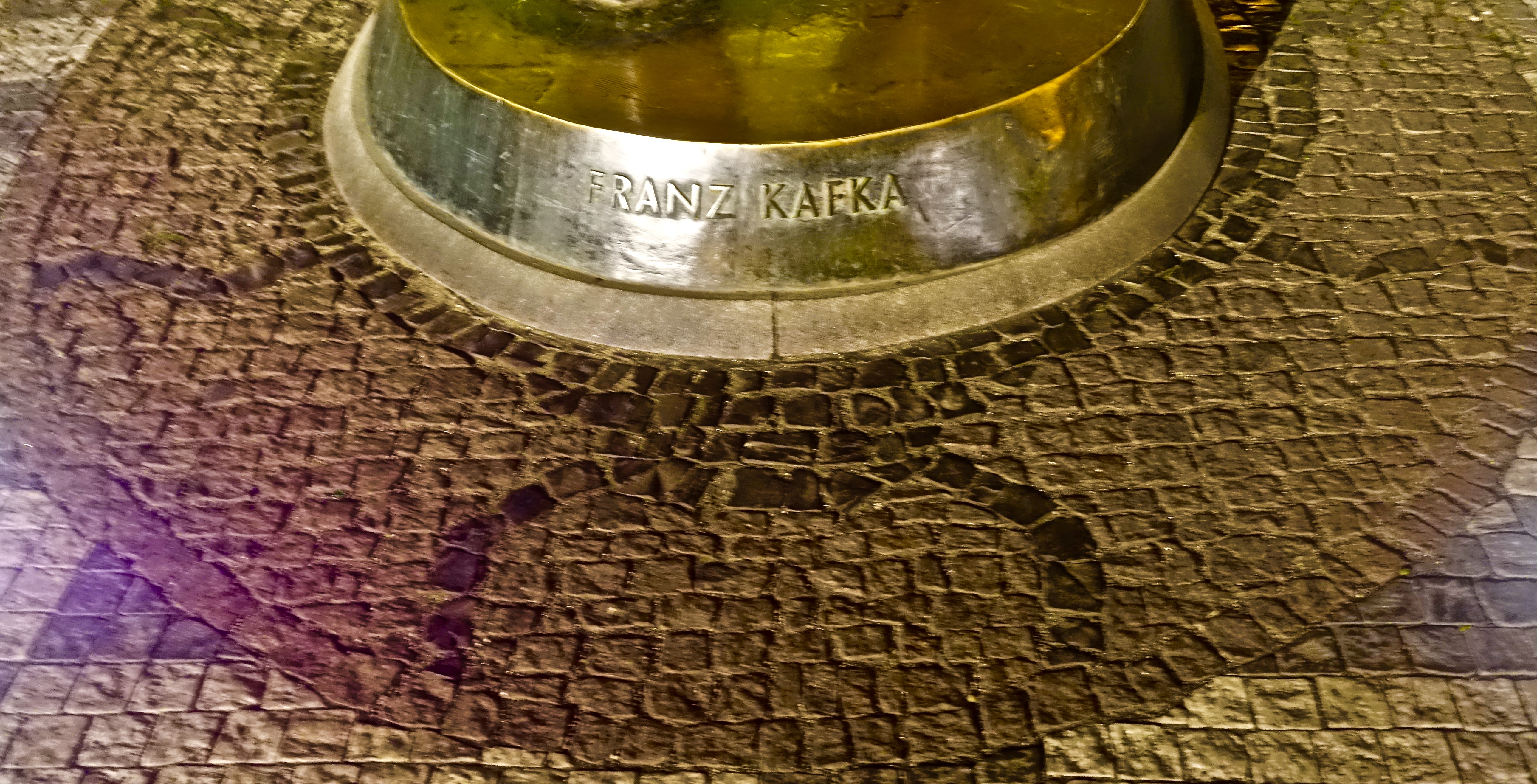 DSC00907.jpg