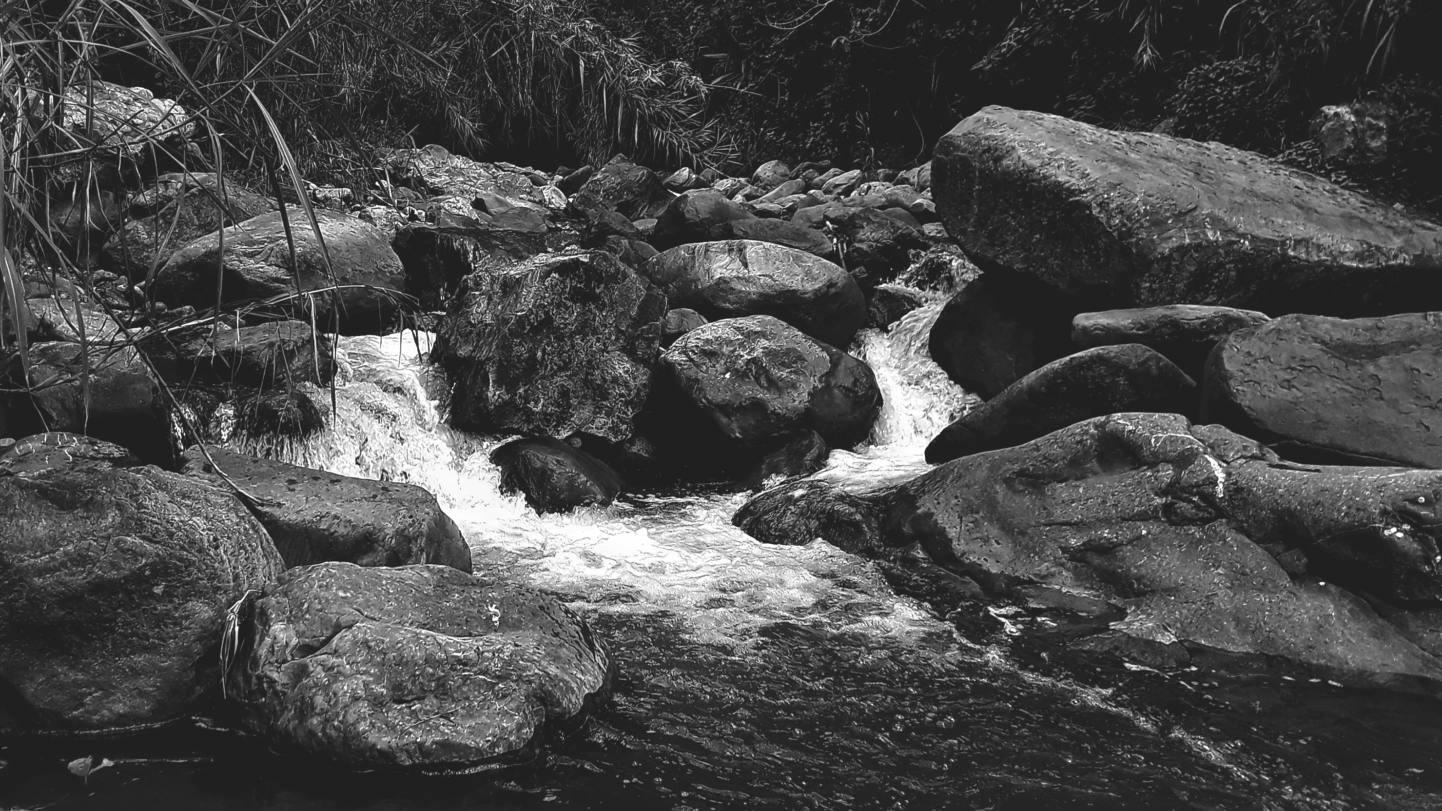 20210923_144425(0)-01.jpeg