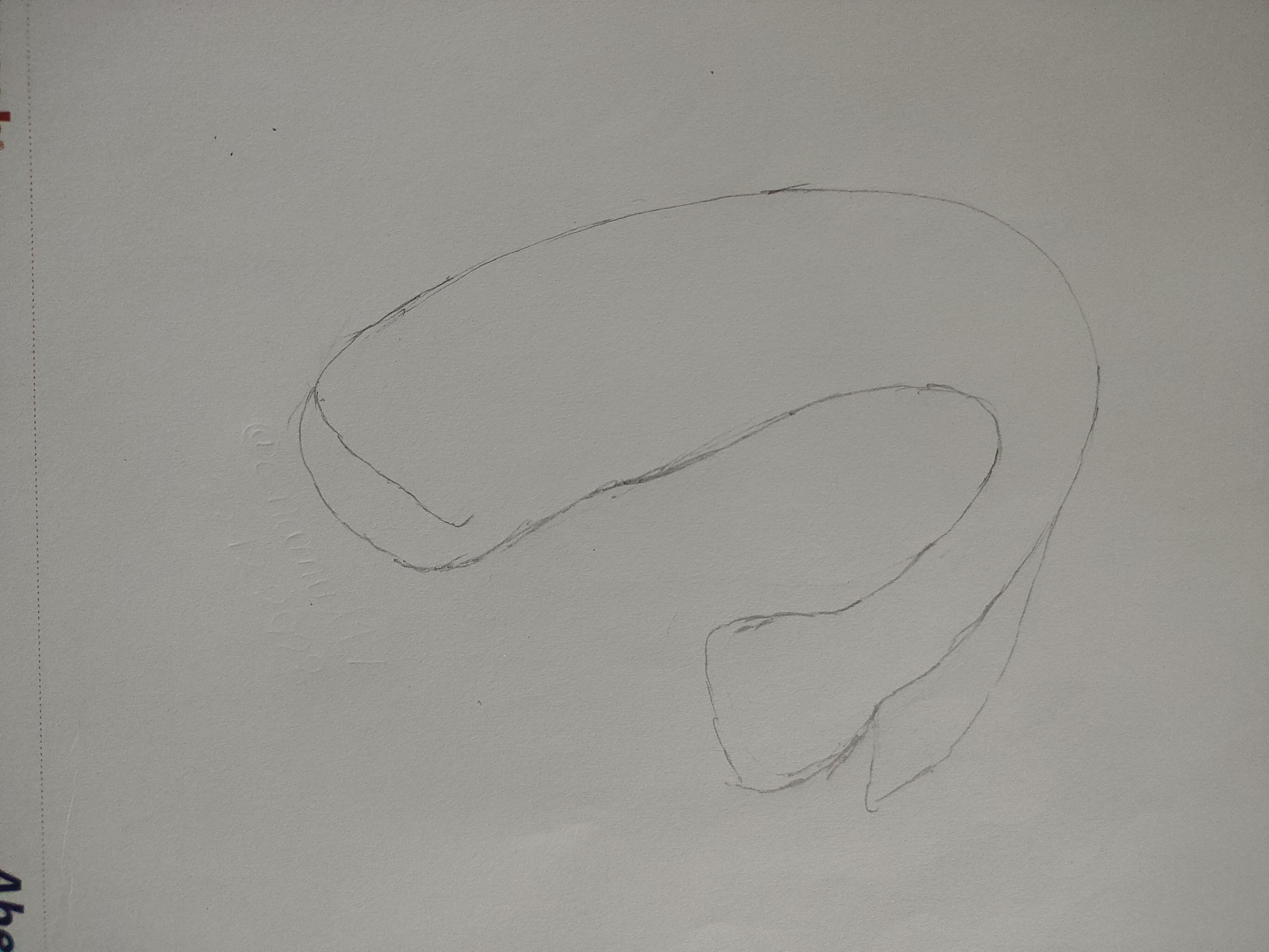 IMG20221231103934.jpg