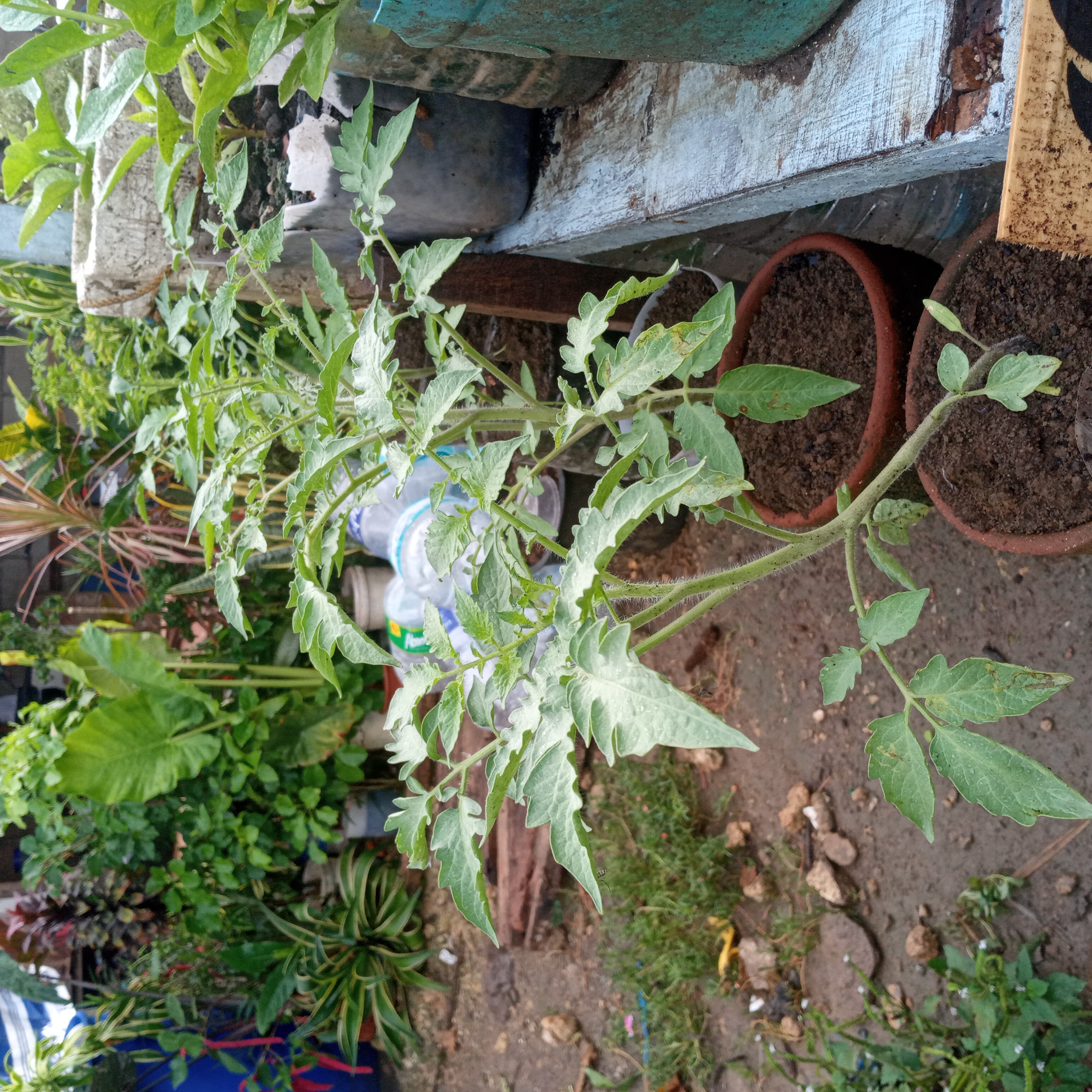 20220517_064235.jpg