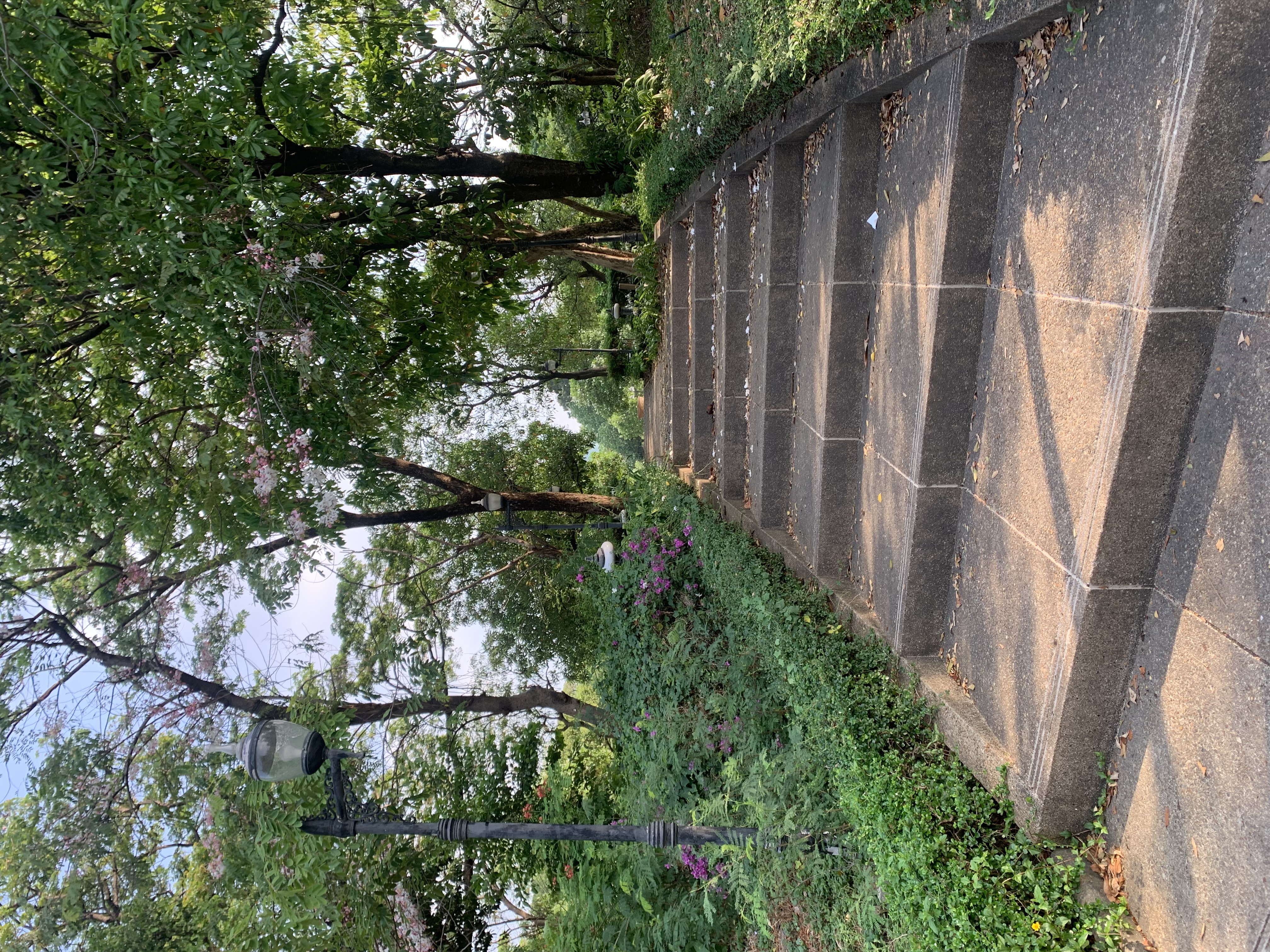 Queen Sirikit Park103.jpg