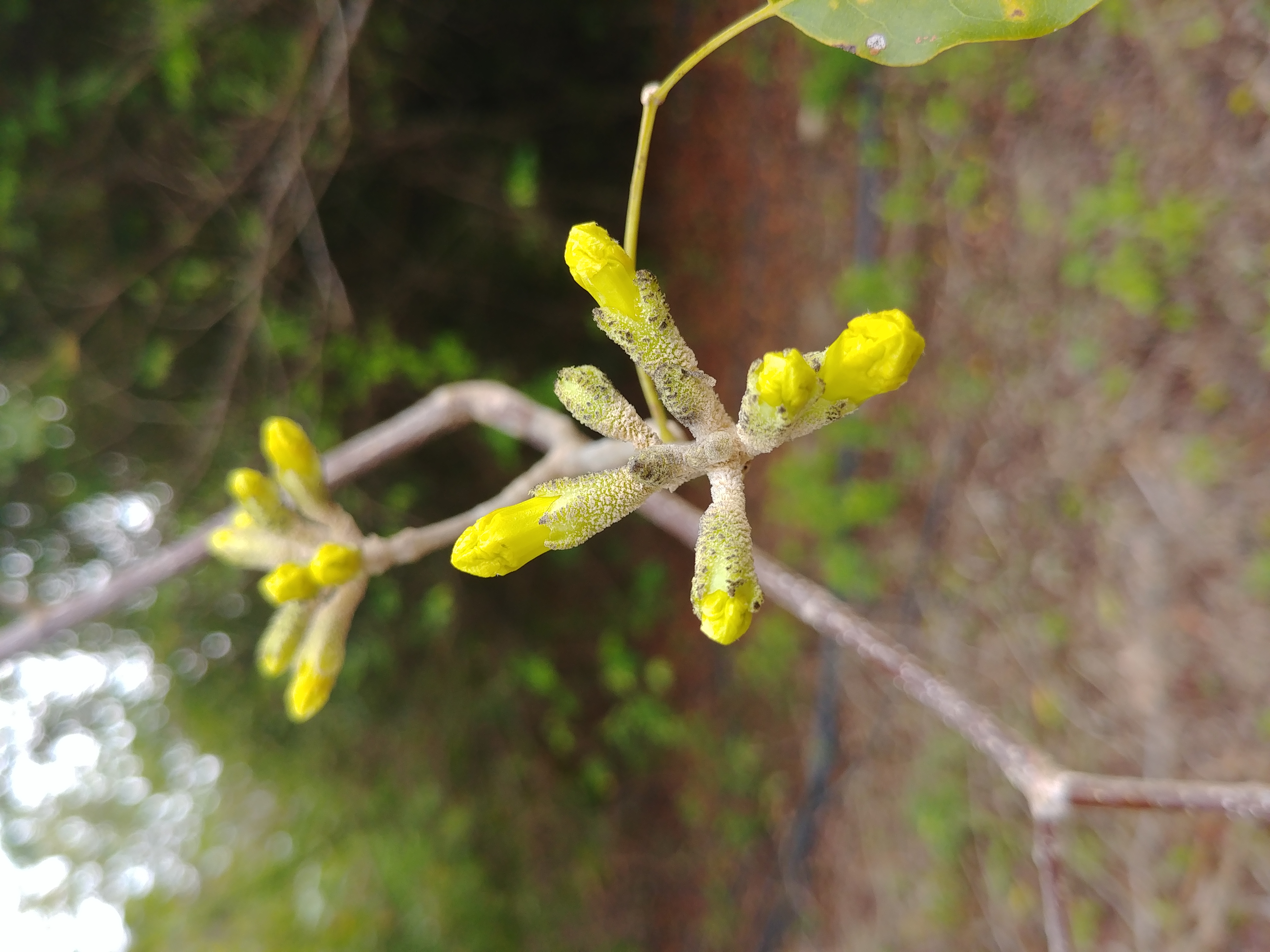 20180326_095214.jpg