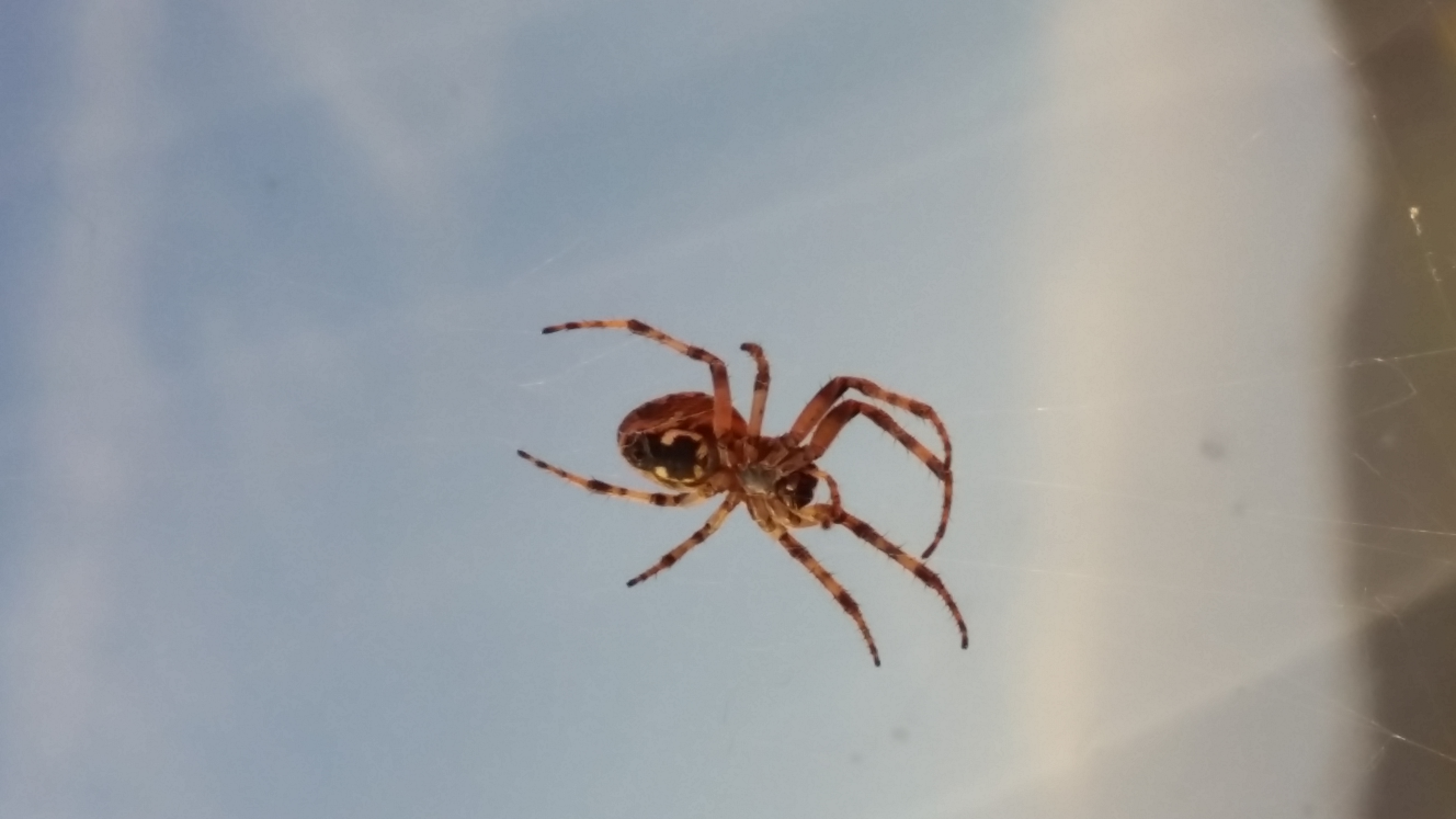20180531_193655.jpg