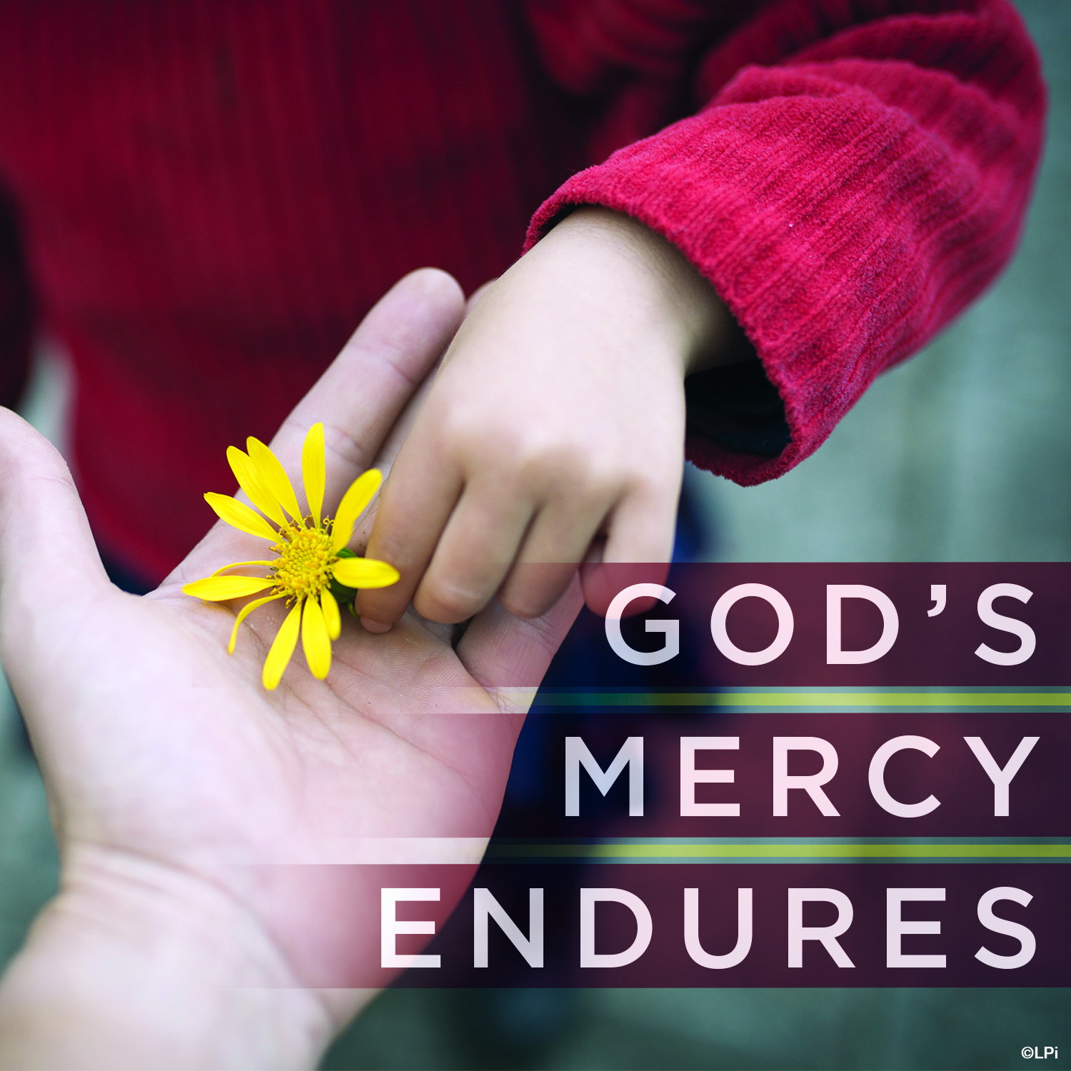 God's Mercy. At God's Mercy.