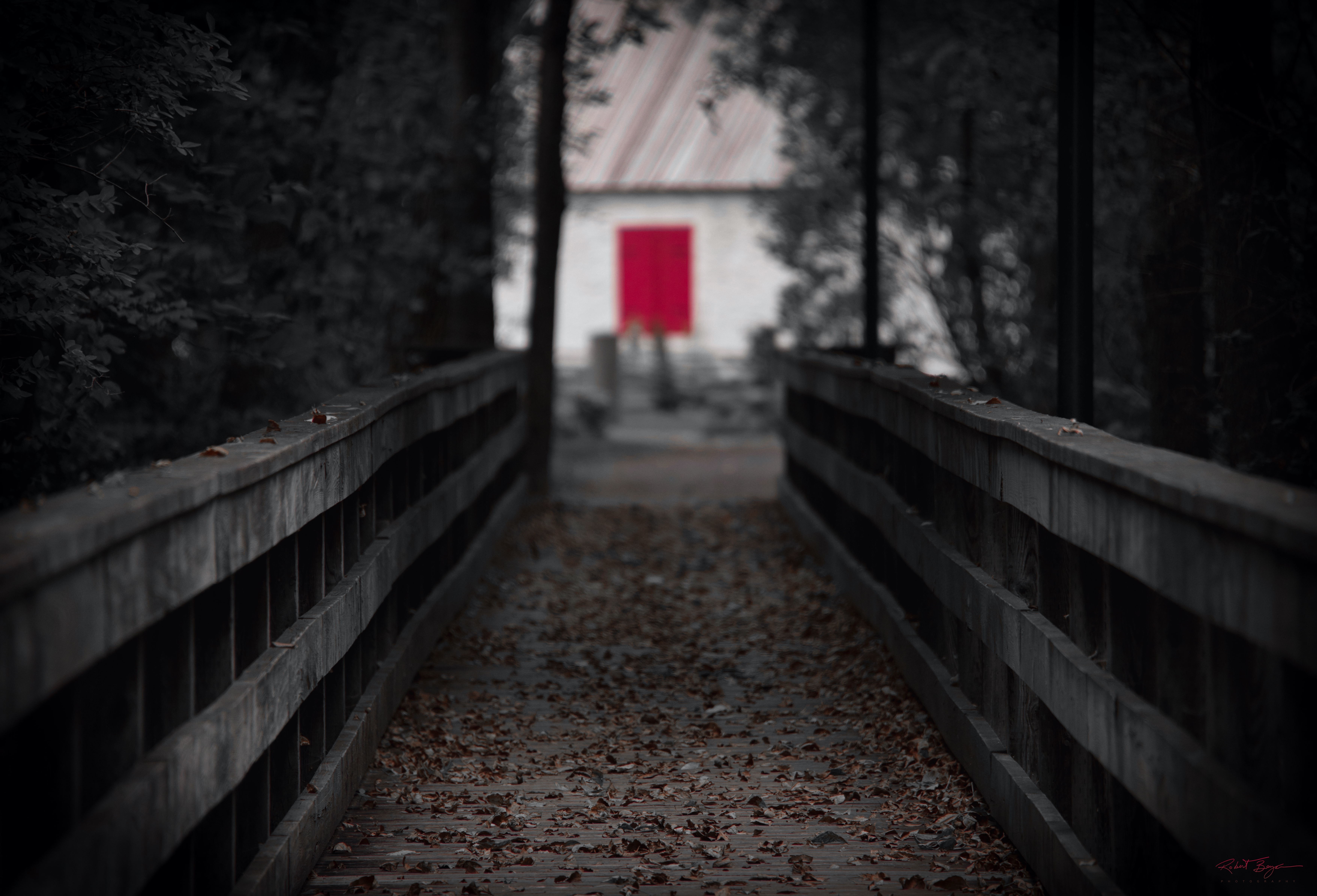 RedRum4.jpg